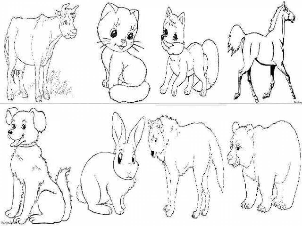 Радостная страница раскраски домашних животных