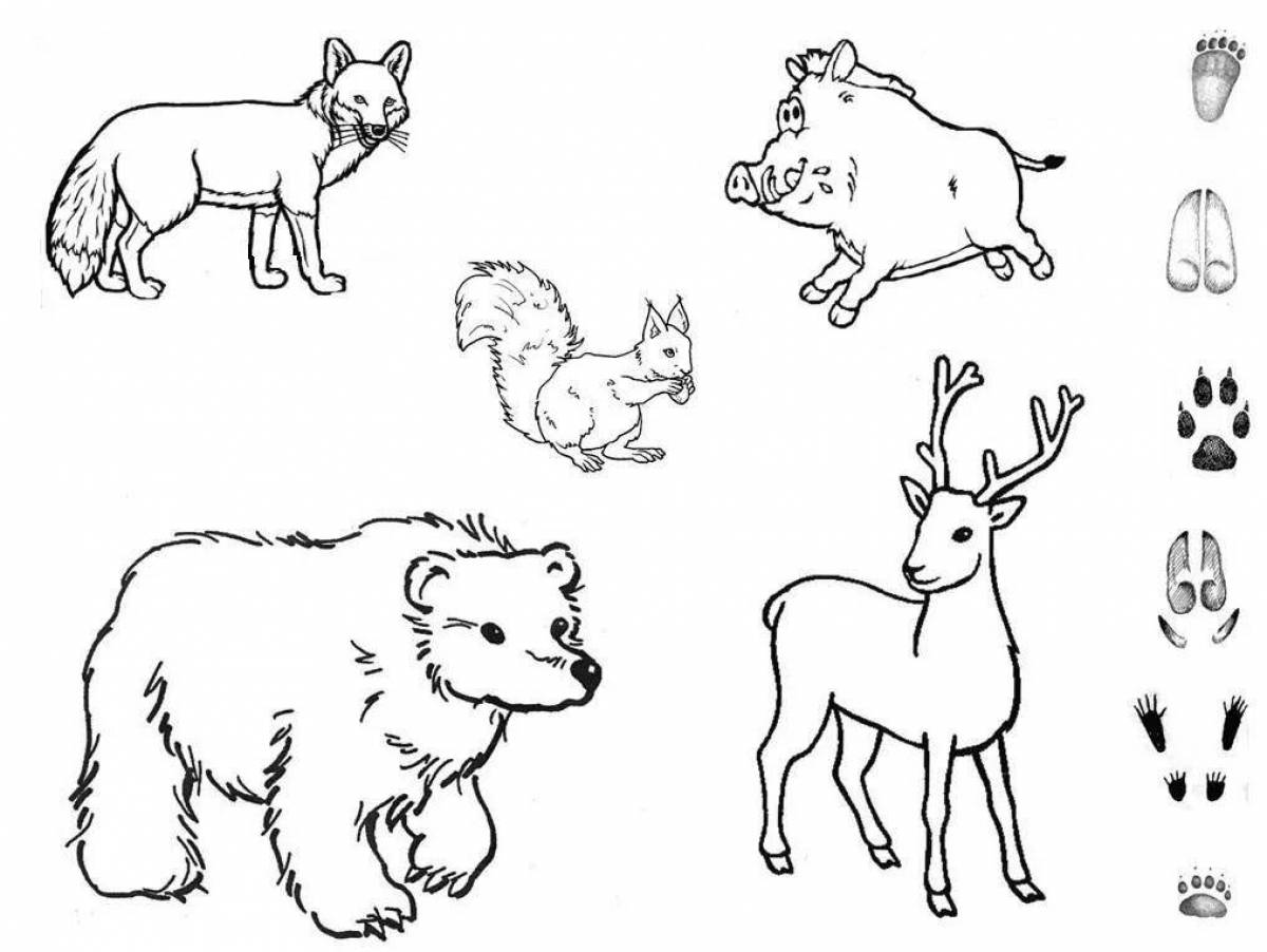 Joyful wild animal coloring page