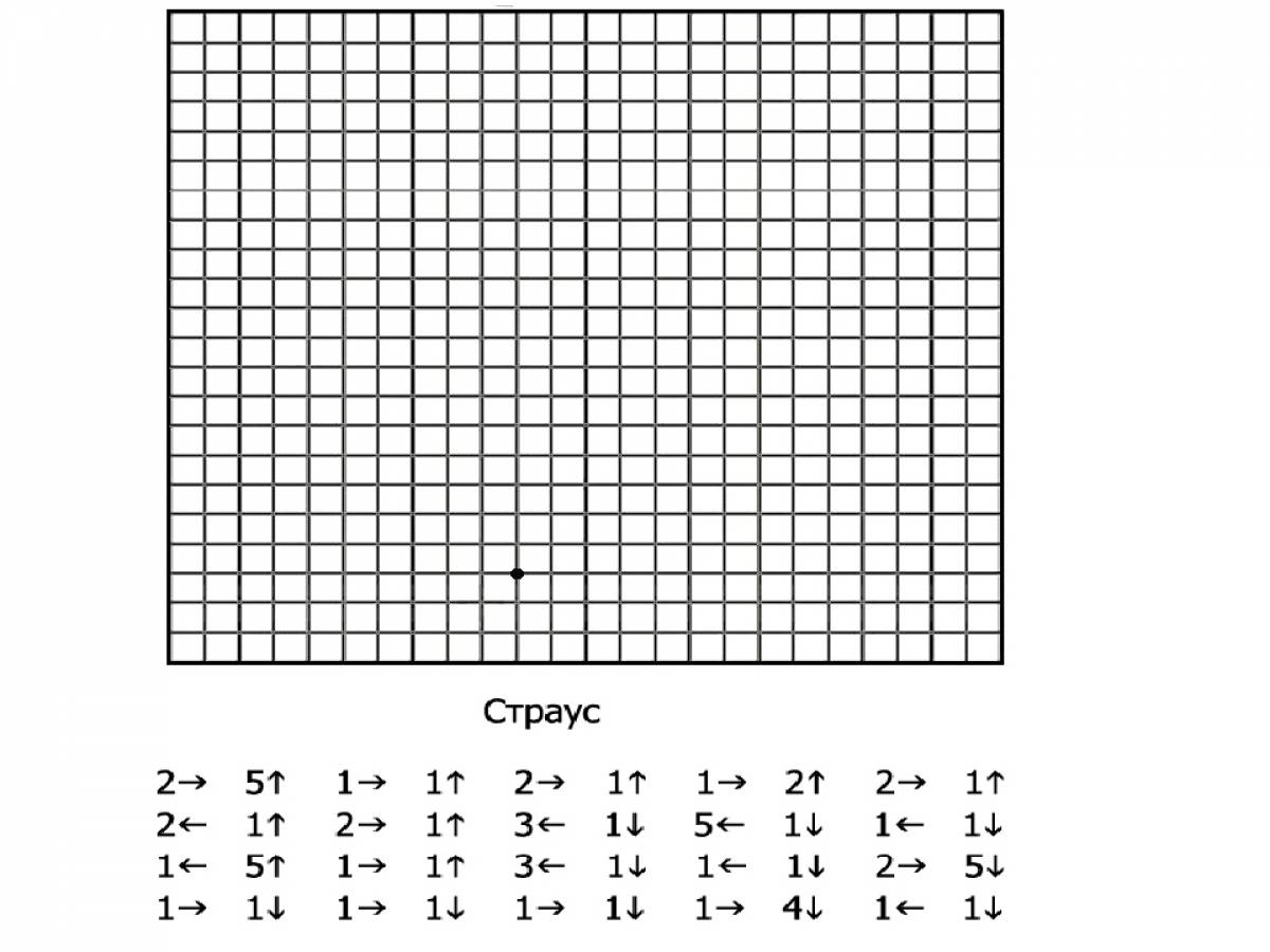 Клеточки для графического диктанта для дошкольников
