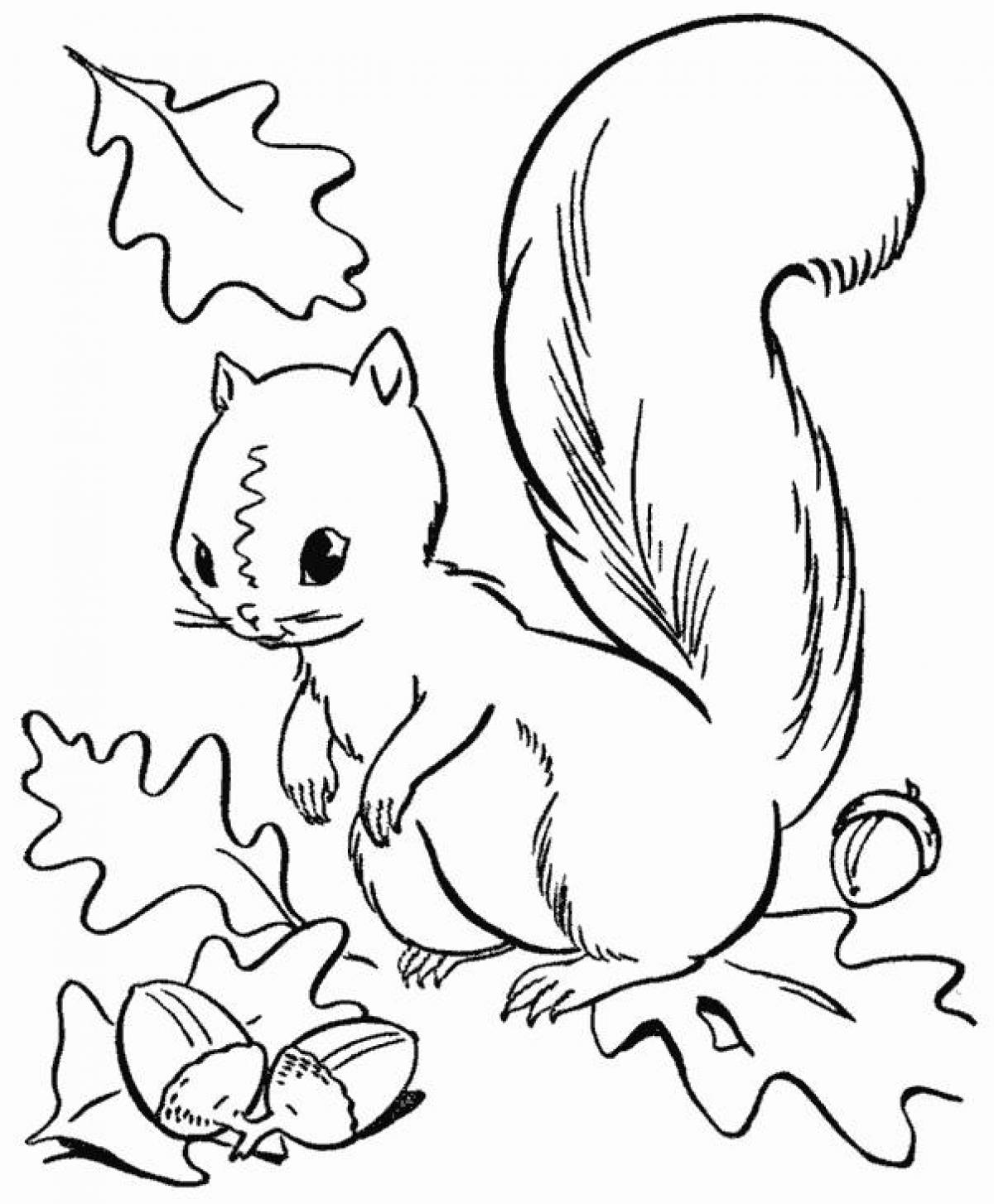 Squirrel magician