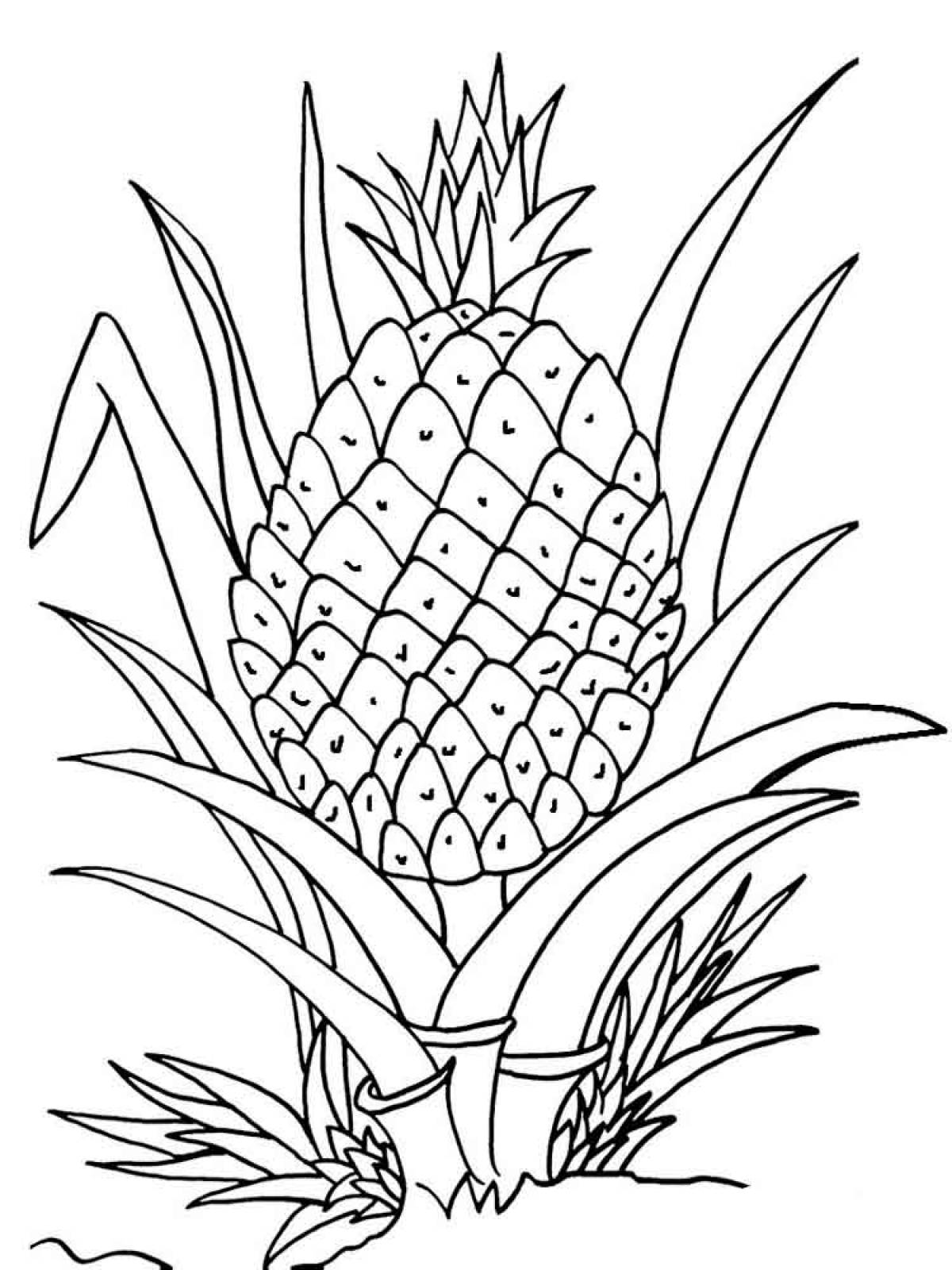 Drawing pineapple