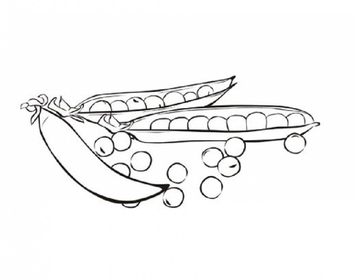 Pea coloring page