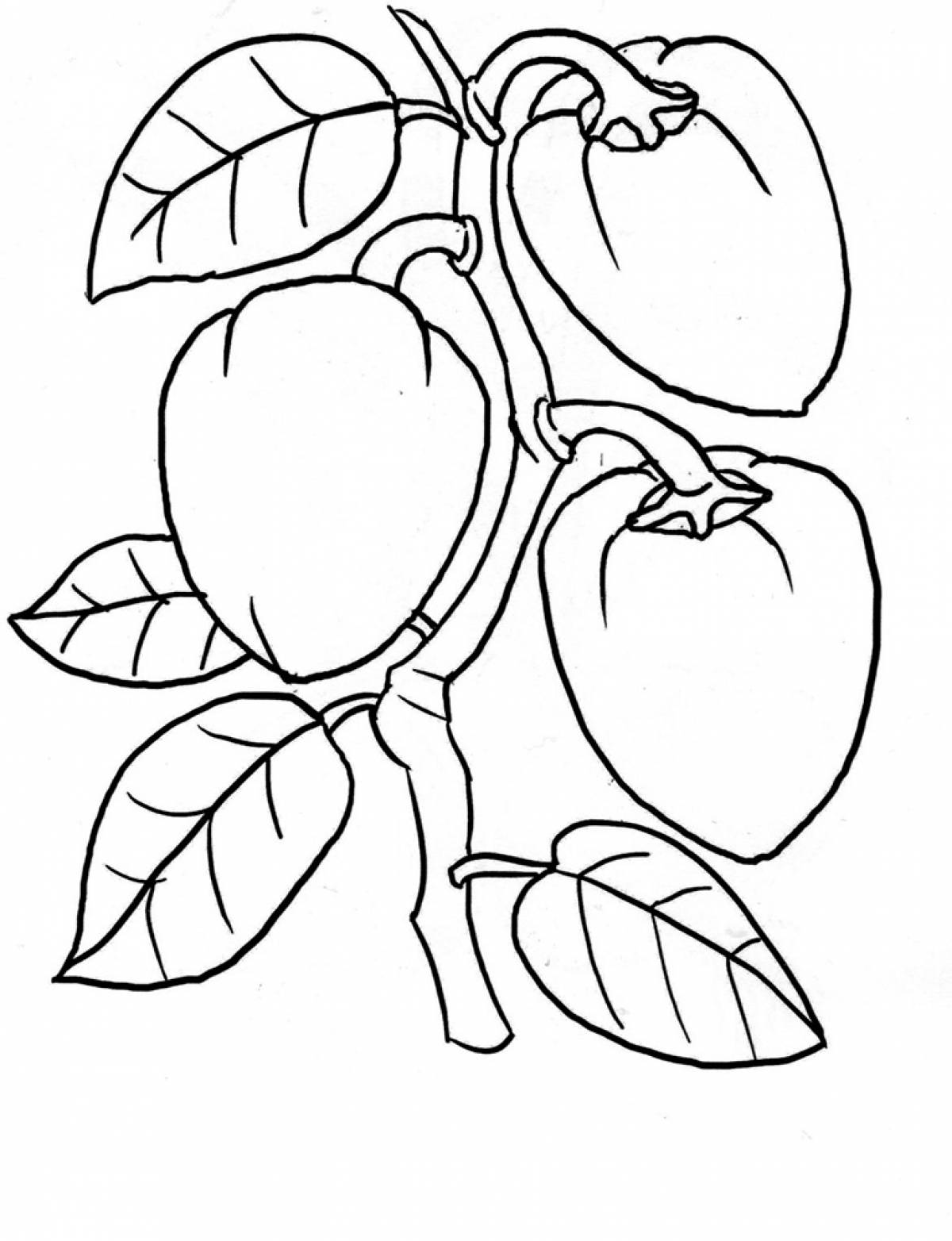 Pepper coloring page