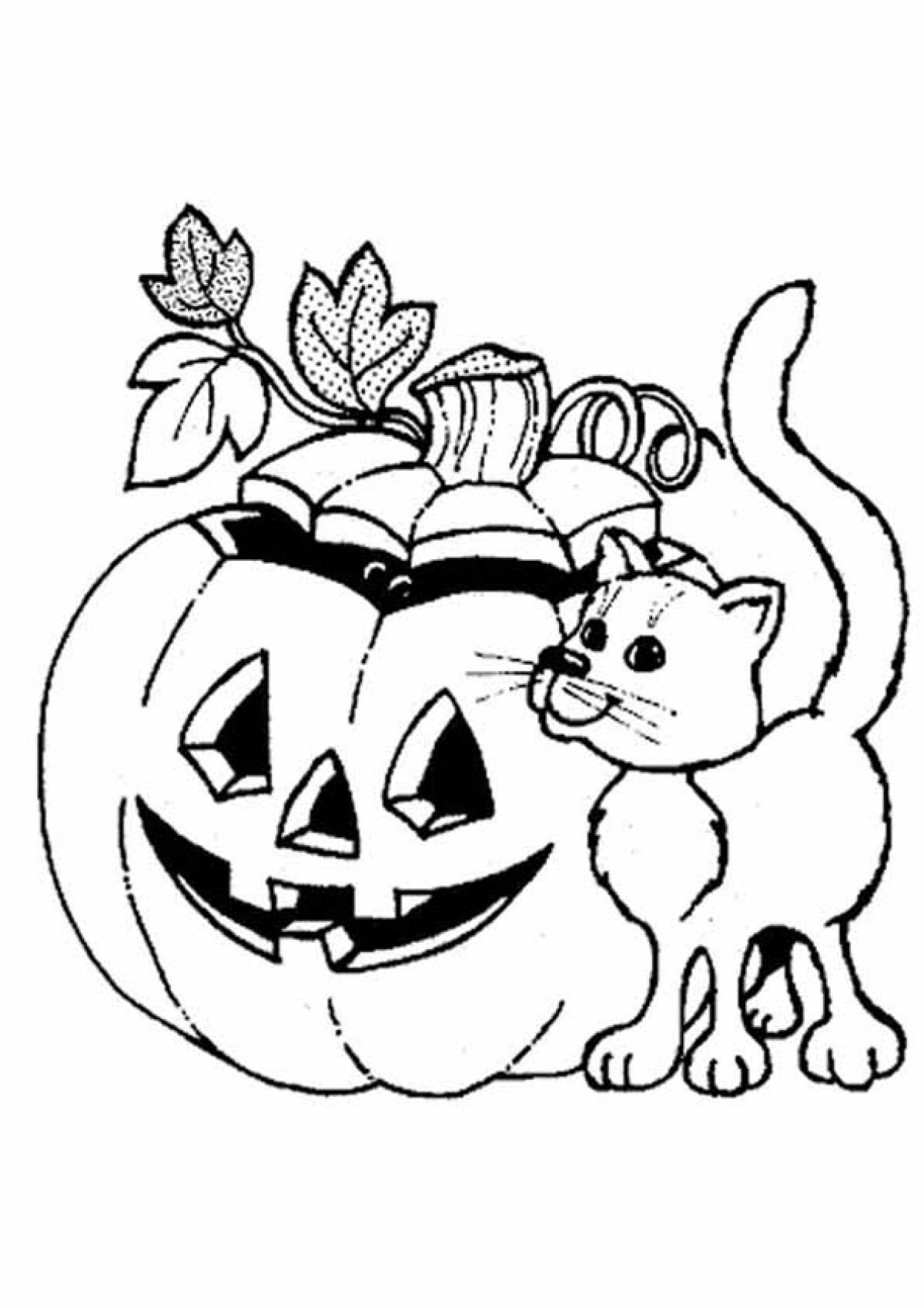 Cat and pumpkins