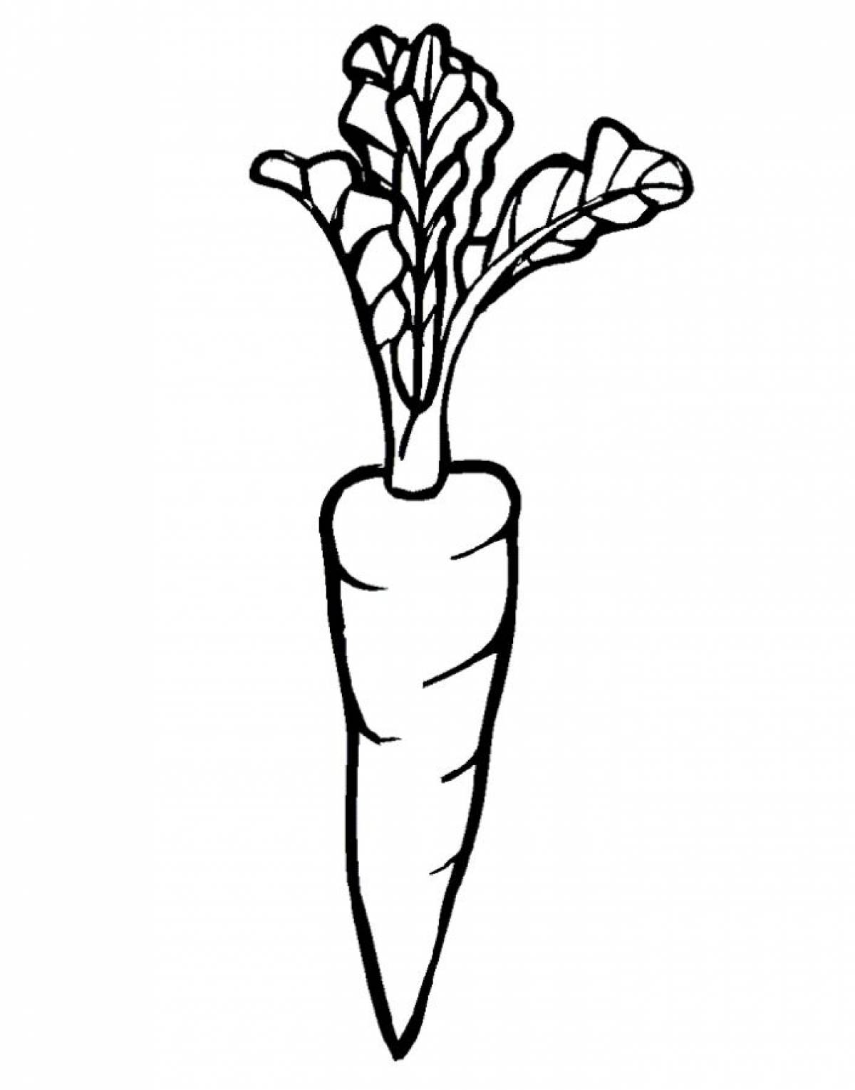 Carrot with green tail