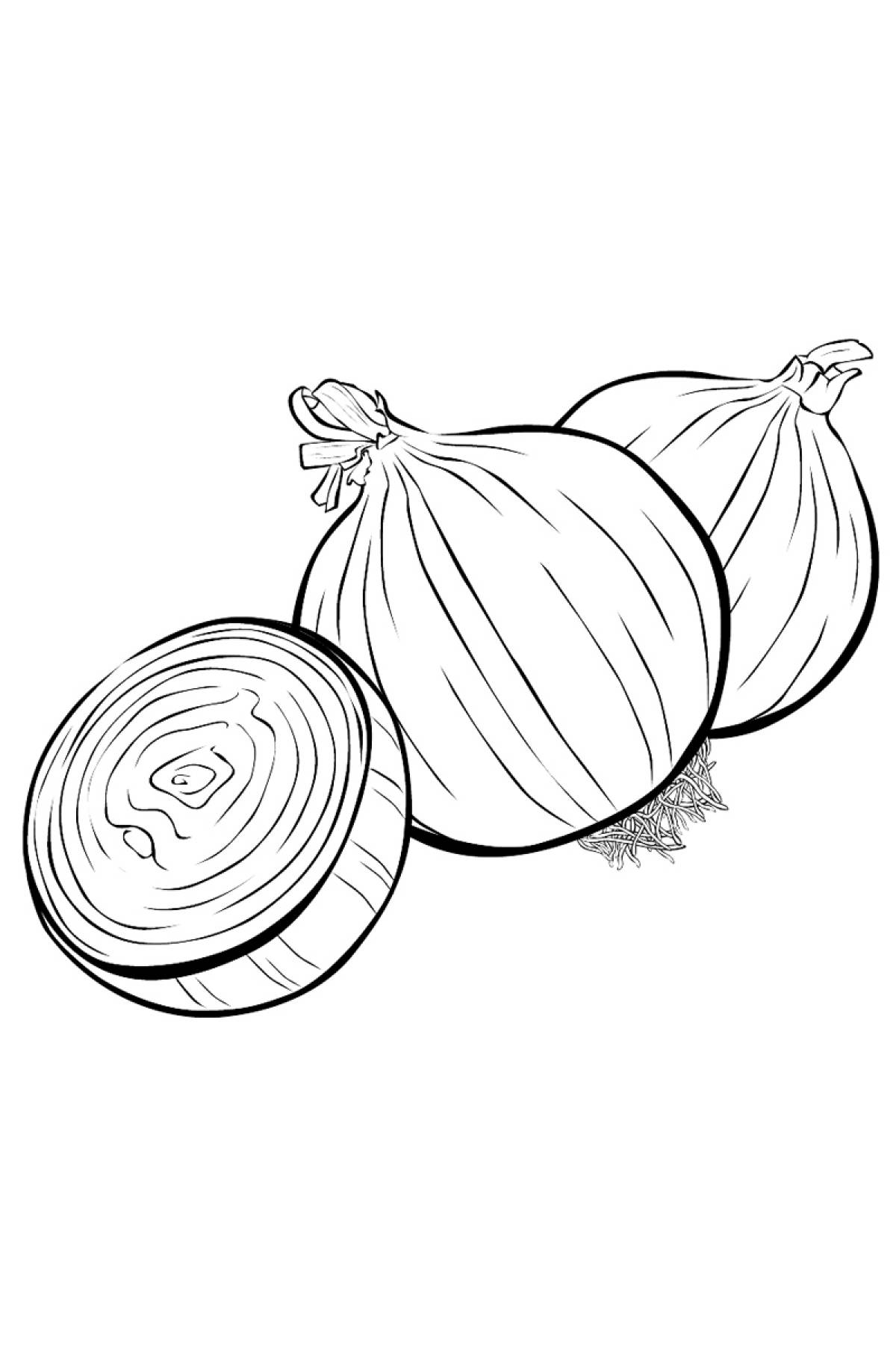 Onion cut
