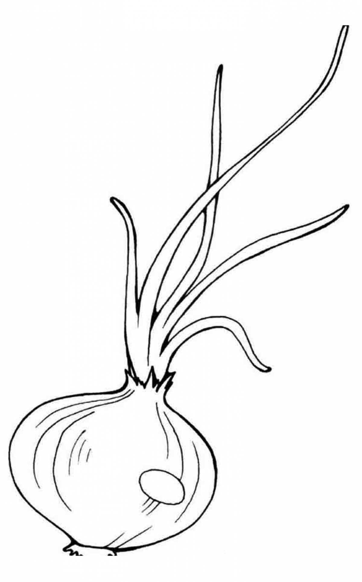Onions with young feathers