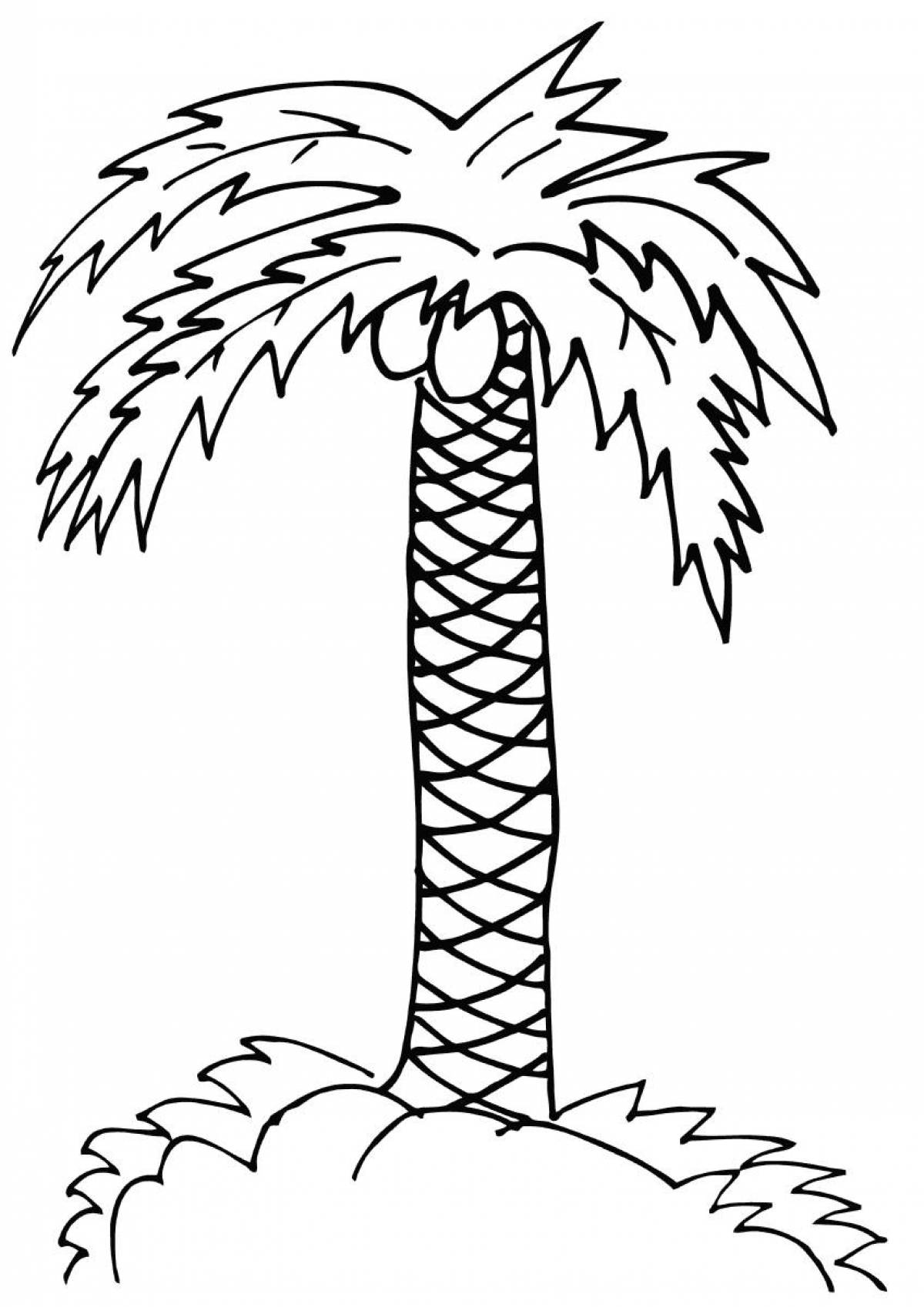 Фото Кокосовая пальма