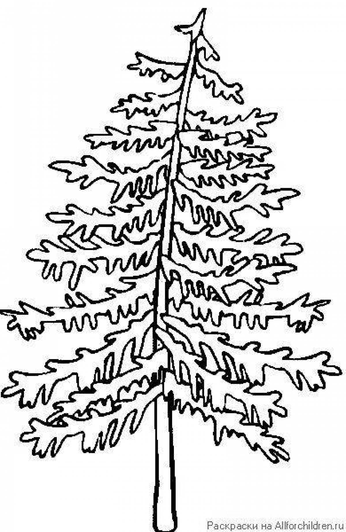 Раскраска лиственница дерево для детей