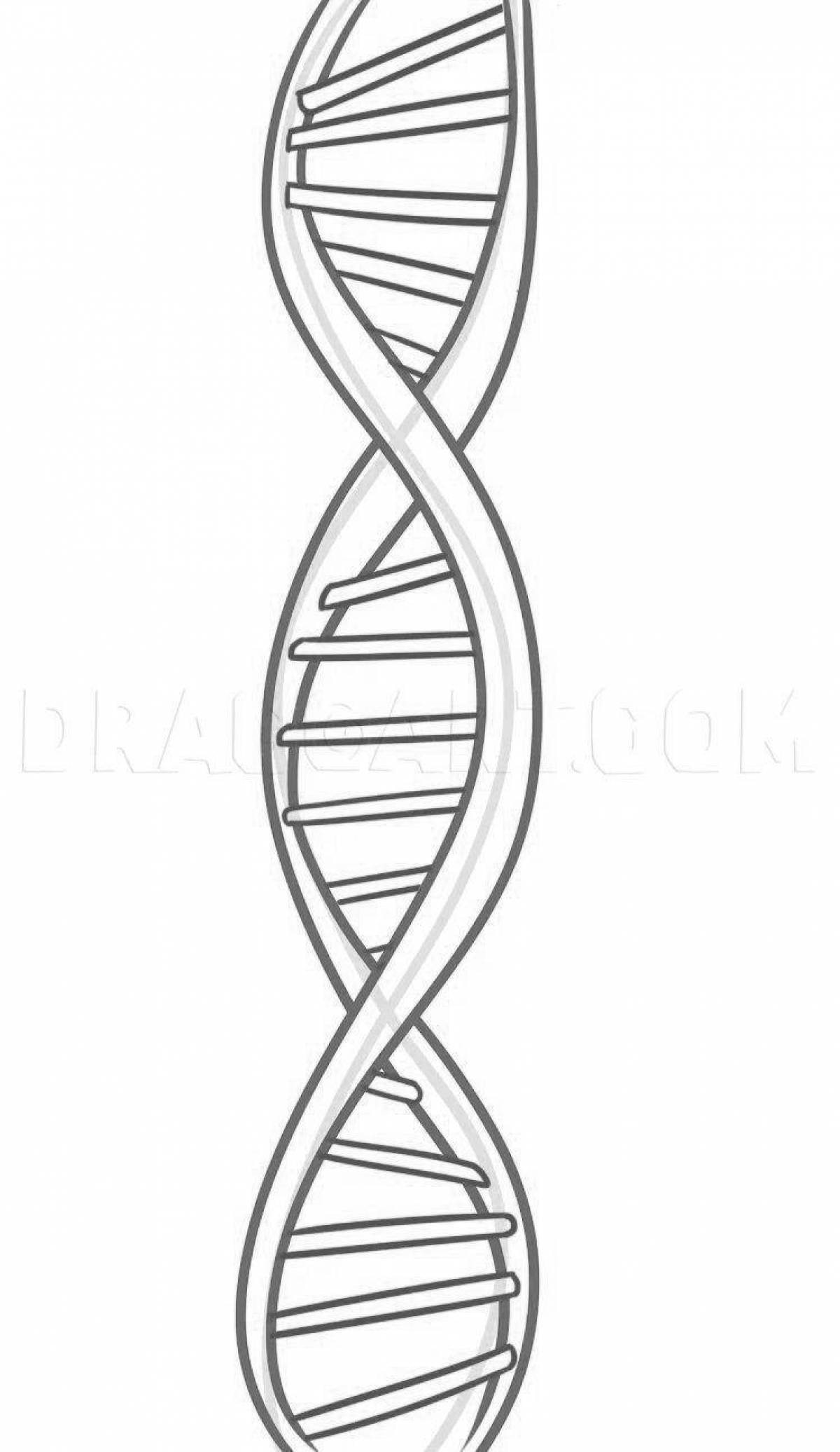 Днк рисунок. ДНК рисовать. ДНК раскраска. ДНК эскиз.