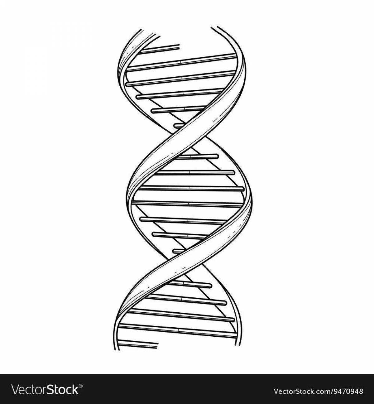 ДНК черно белая