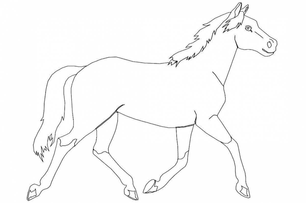 Коник печать. Раскраска. Лошади. Картинки для раскрашивания лошадки. Лошадь раскраска для детей. Лошадь рисунок.
