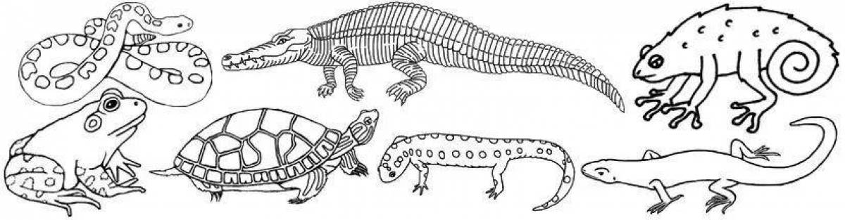 Рисунок пресмыкающихся 2 класс. Пресмыкающиеся раскраска. Земноводные и пресмыкающиеся раскраска для детей. Раскраска рептилии. Земноводные и пресмыкающиеся задания для дошкольников.