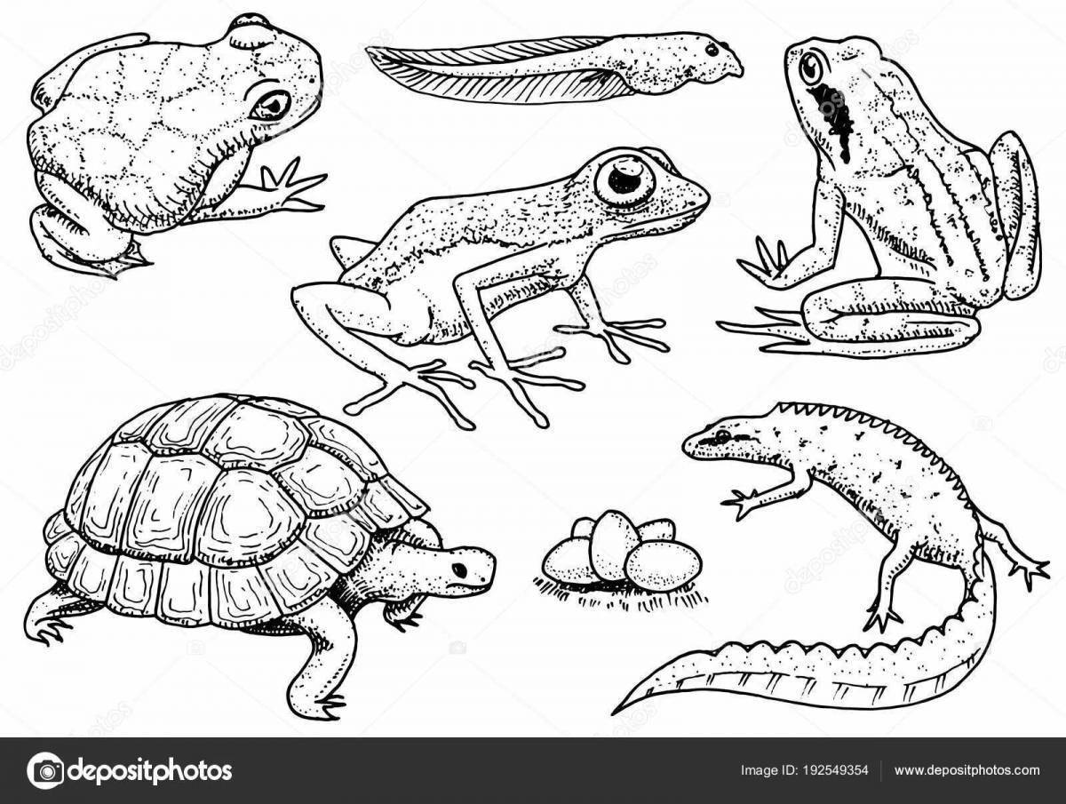 Раскраска рептилии и земноводные