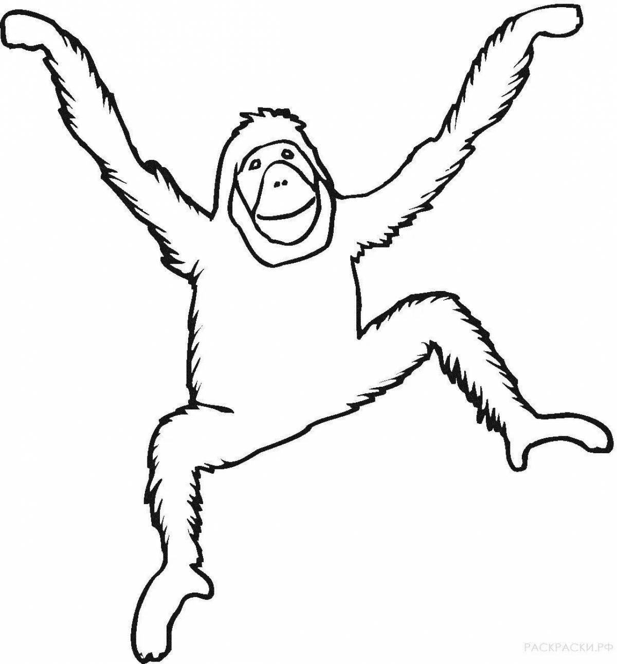 Орангутанг раскраска