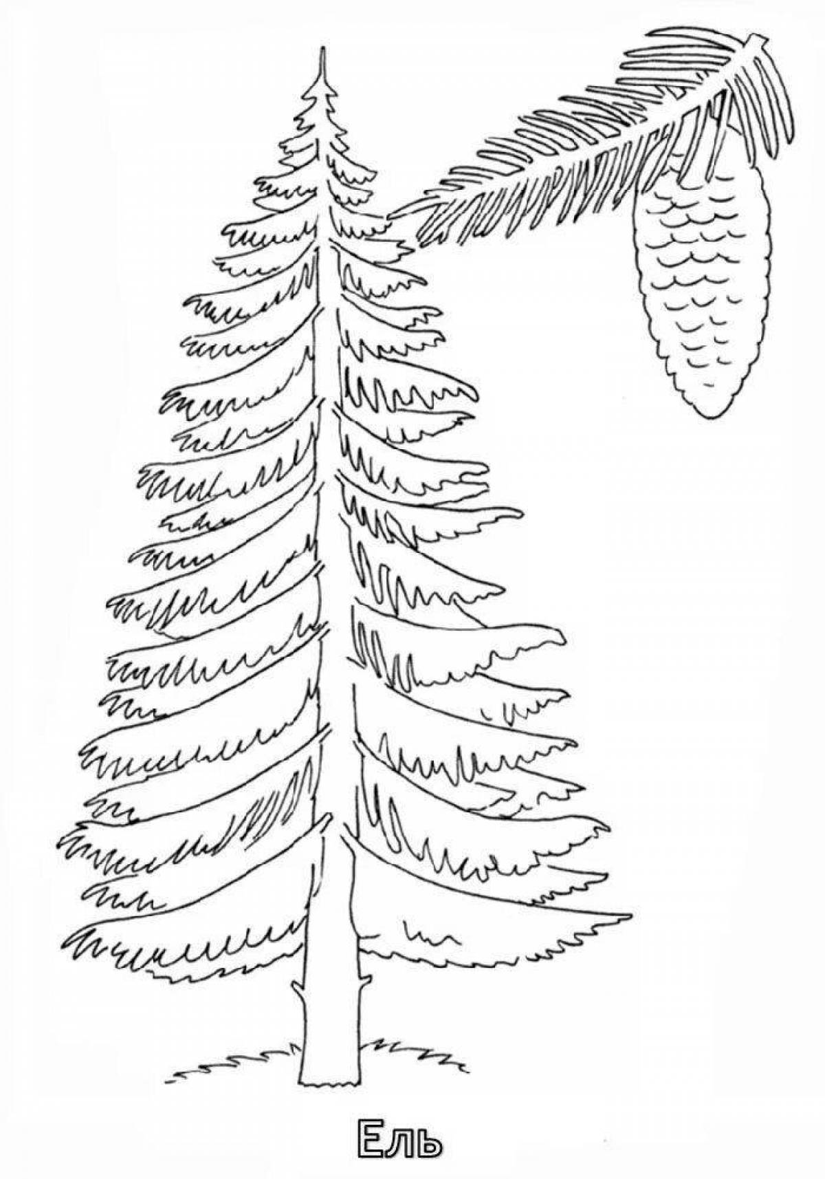 Charming larch coloring page