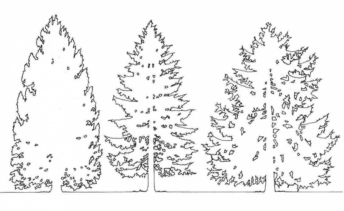 Charming larch coloring page