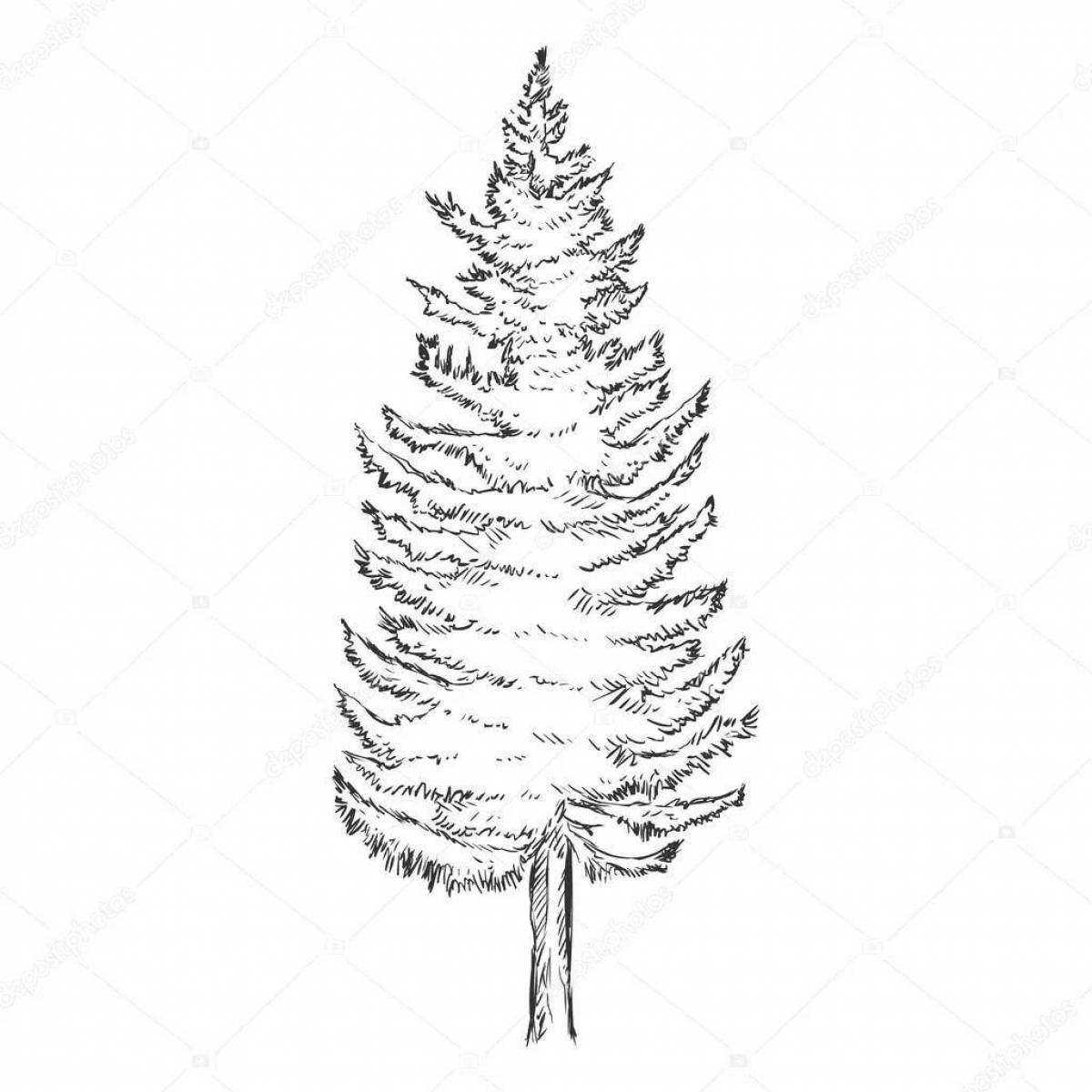 Charming larch coloring book
