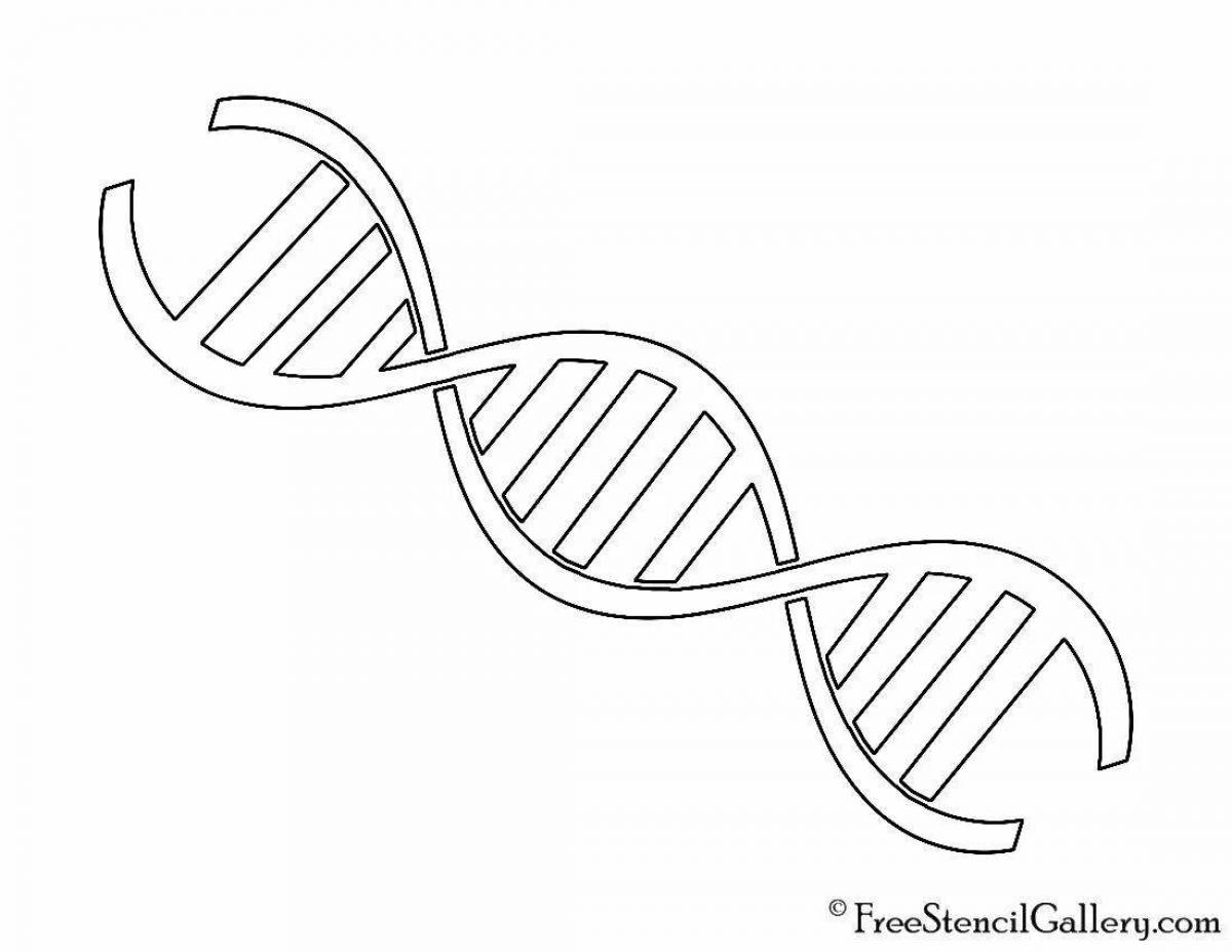 Colorful dna coloring page