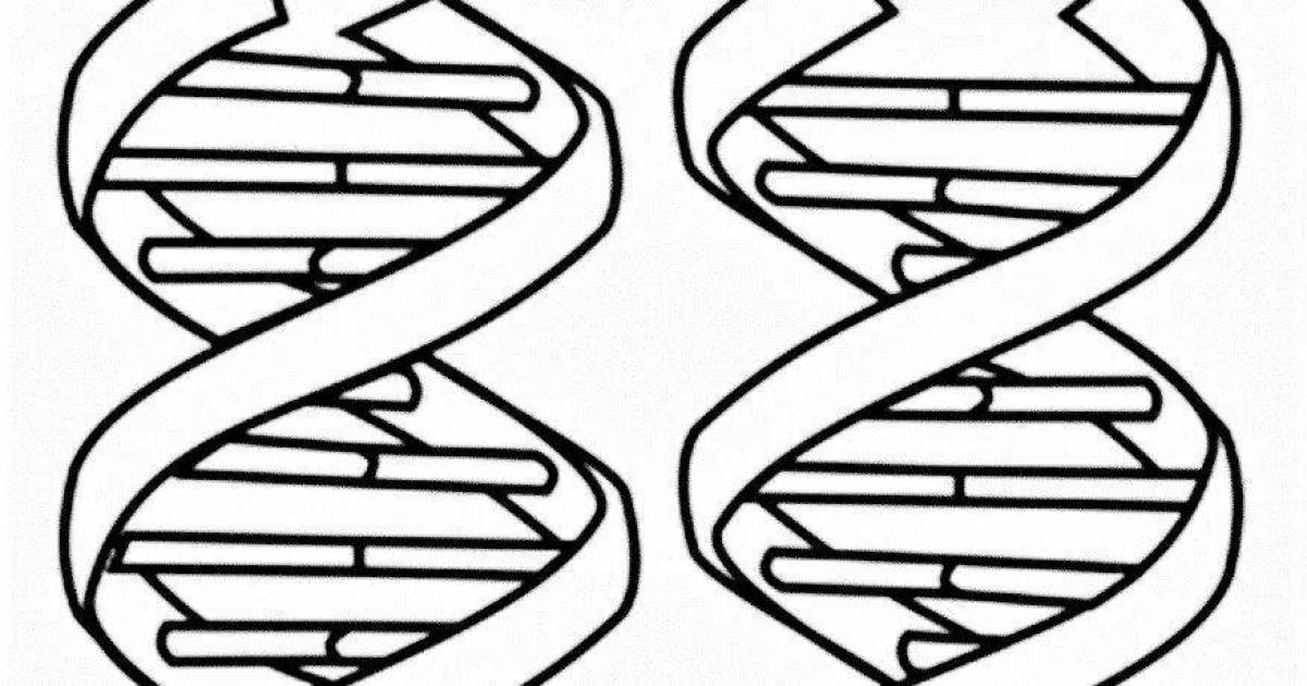 Detailed dna coloring page