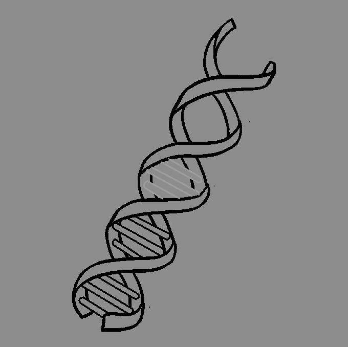 Attractive dna coloring page