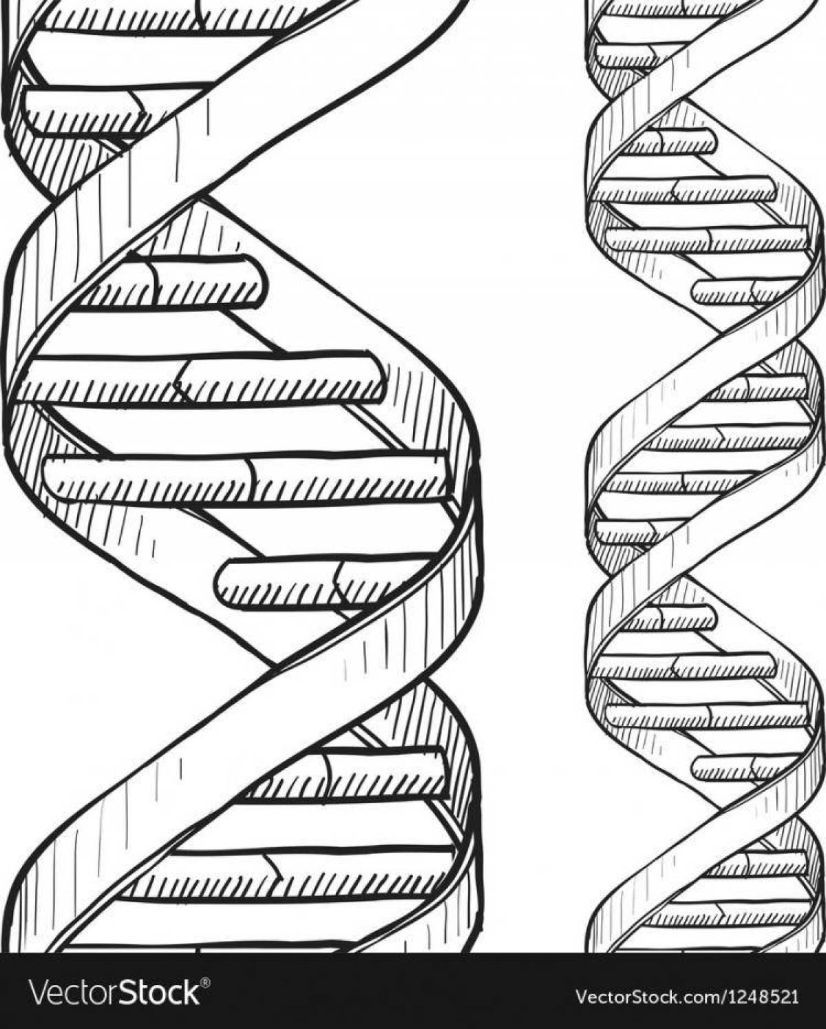 Adorable dna coloring page