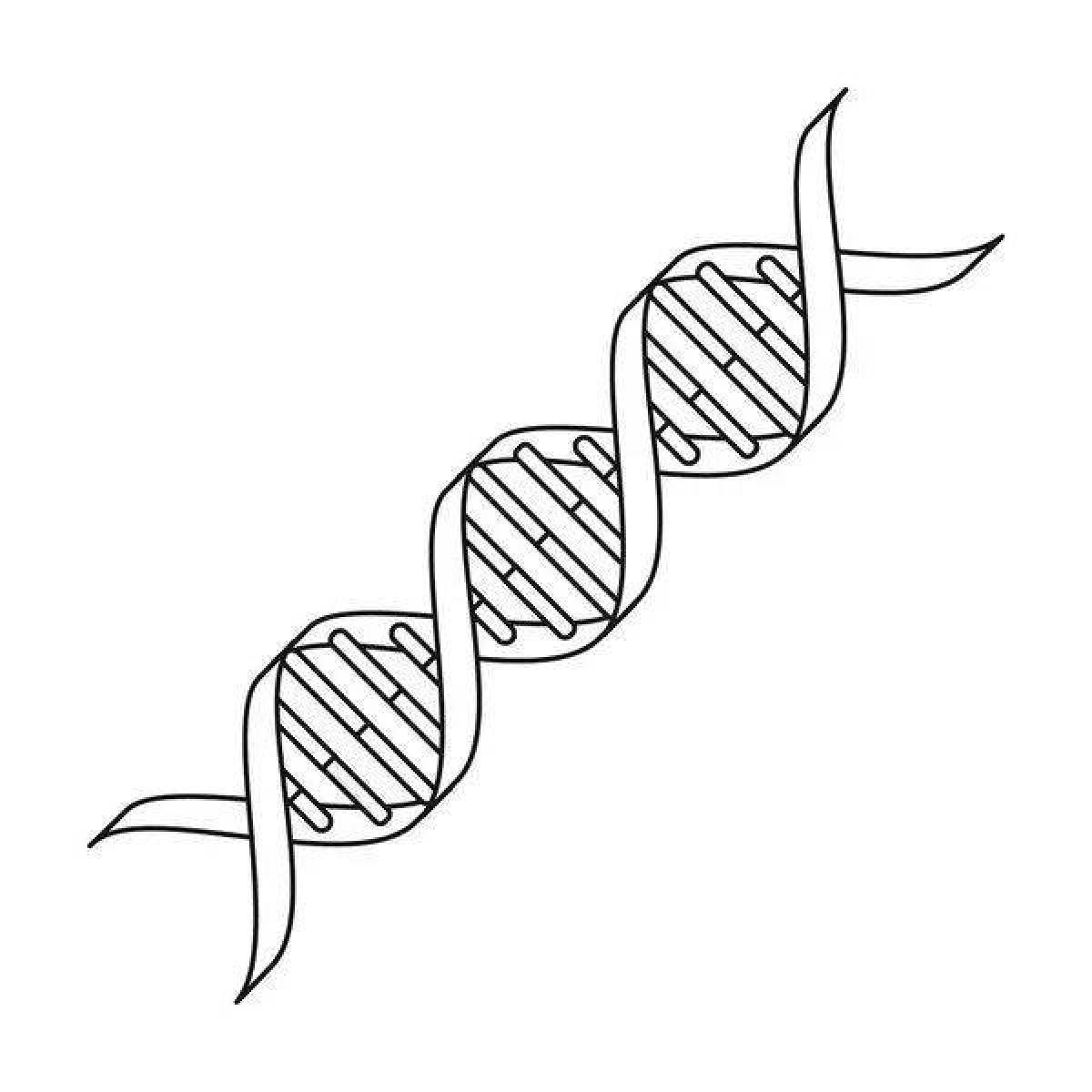 Привлекательная раскраска днк