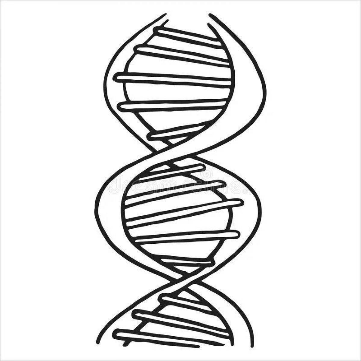Великолепная раскраска днк