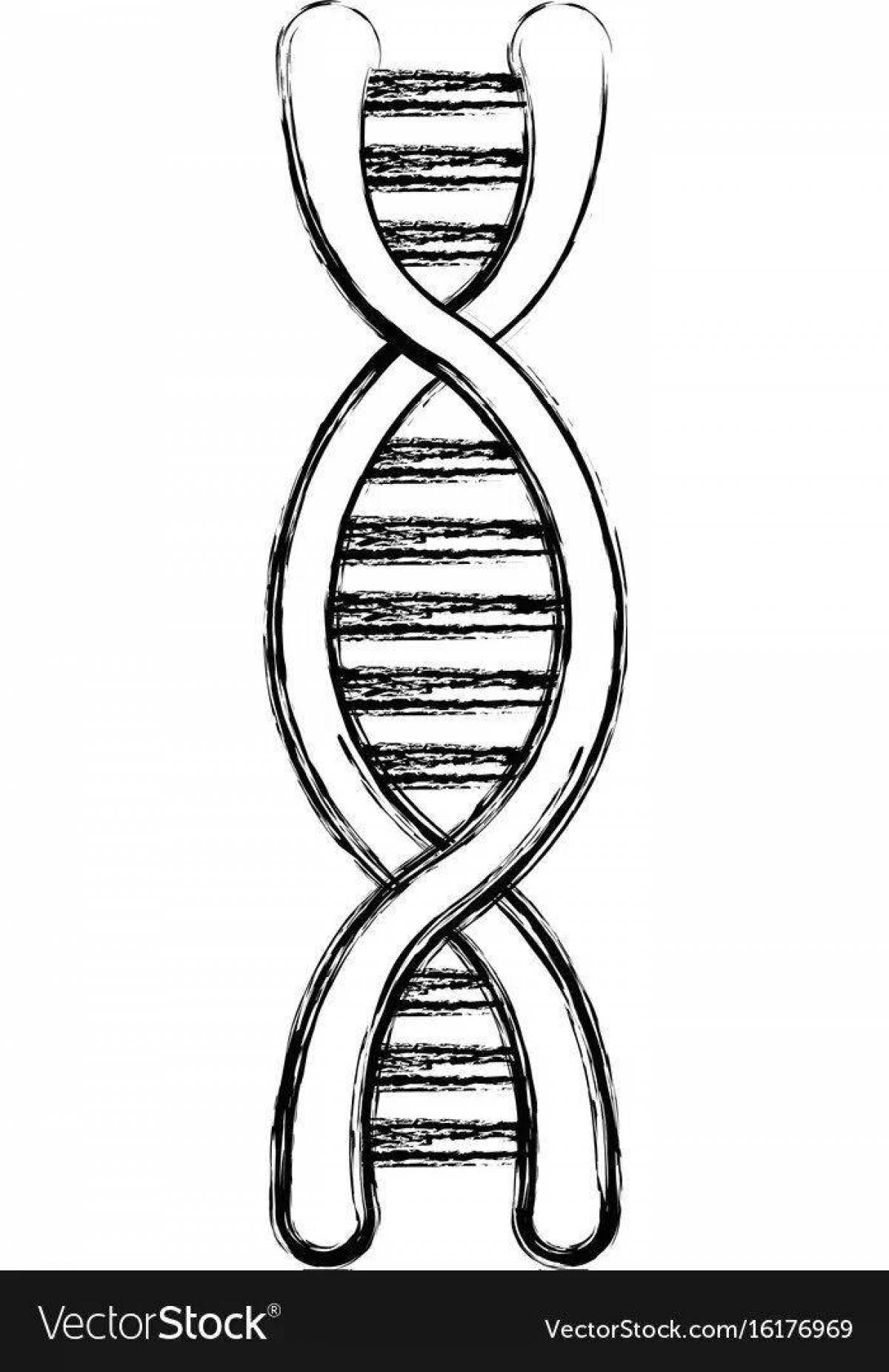 Exquisite dna coloring