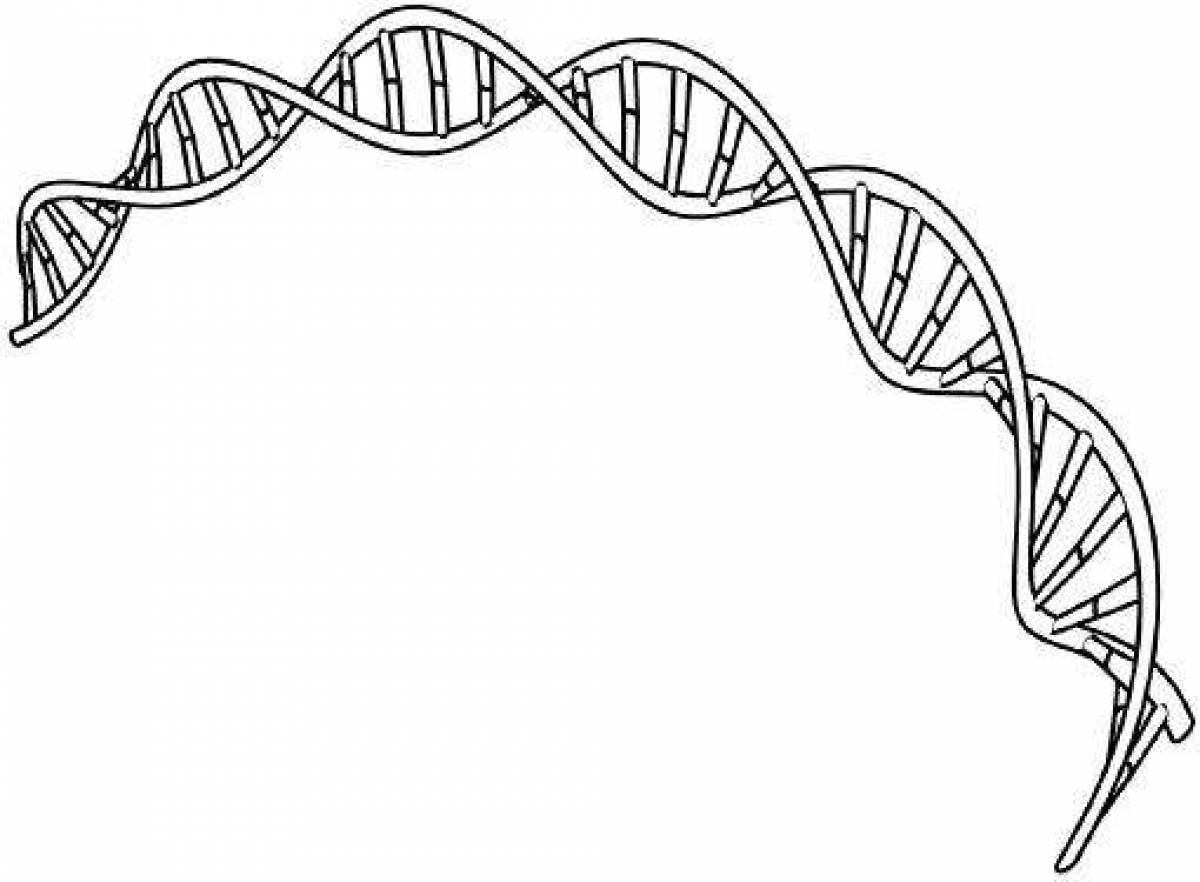 Purified dna coloring page