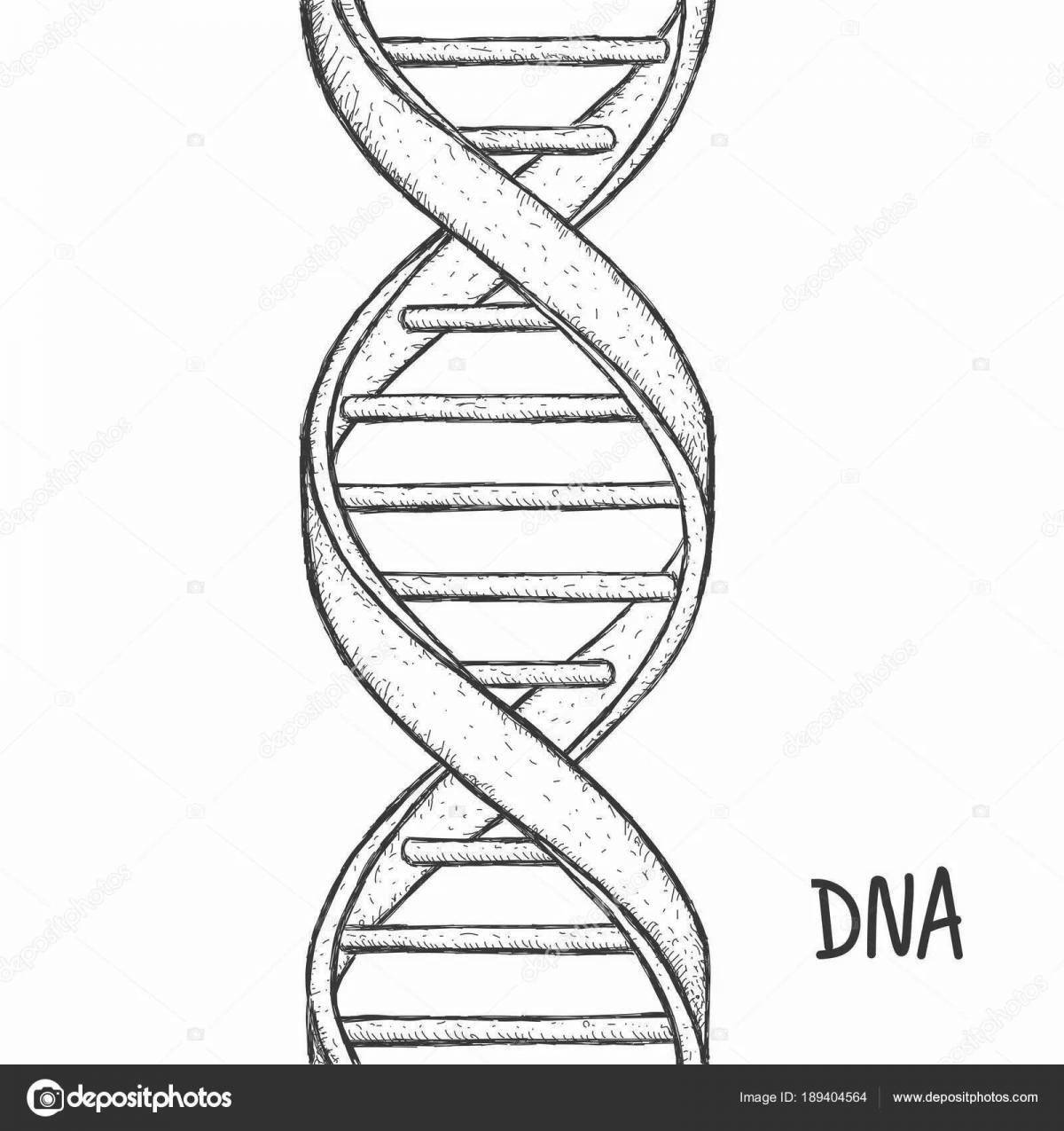 Инновационная раскраска днк