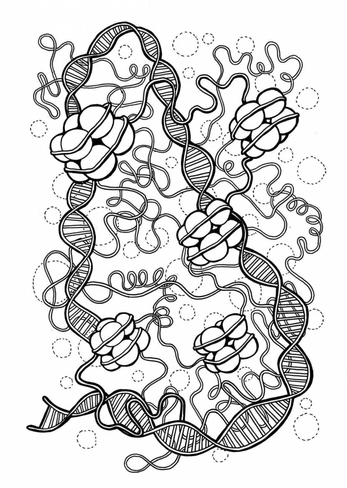 Creative dna coloring page