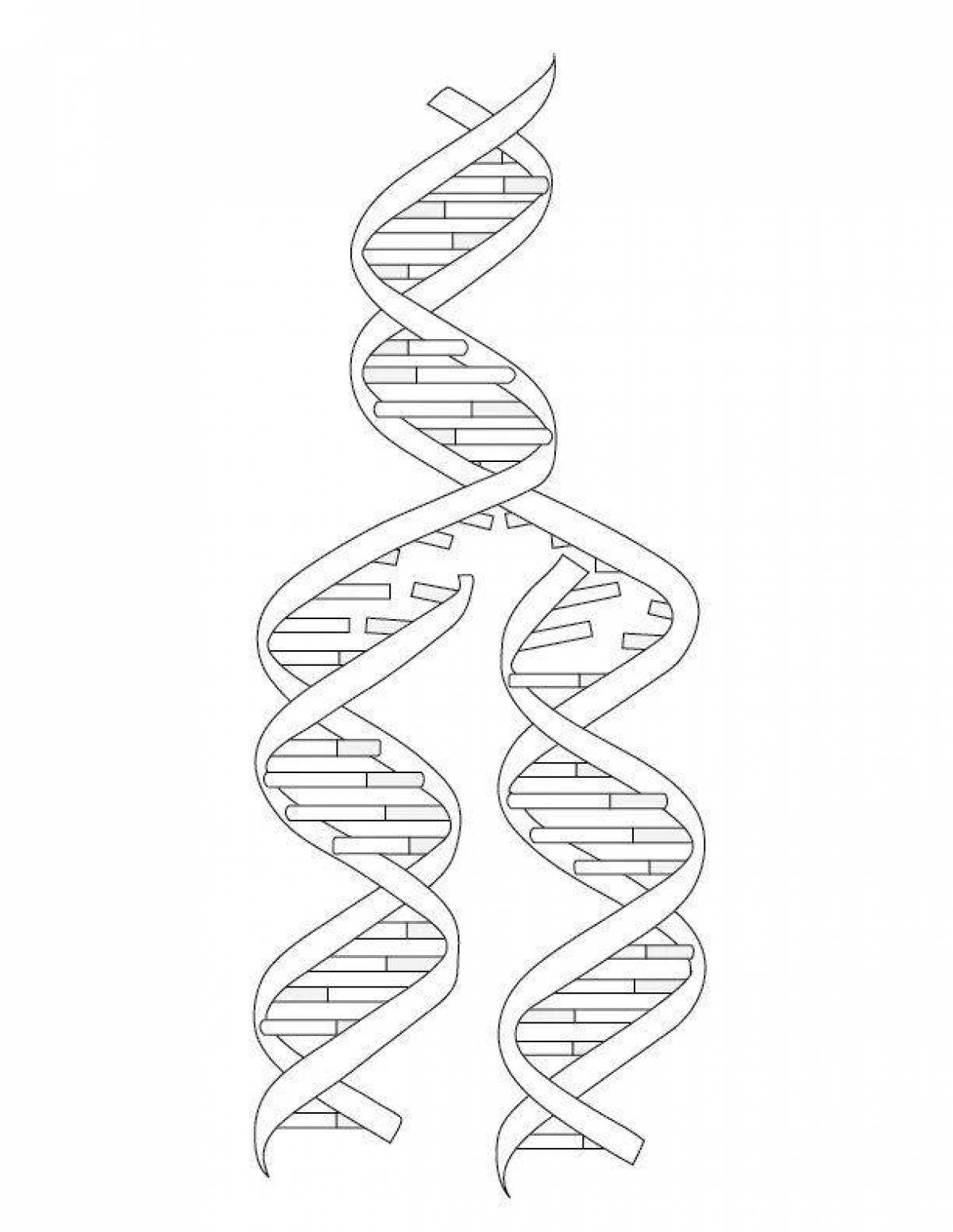 Playful dna coloring page