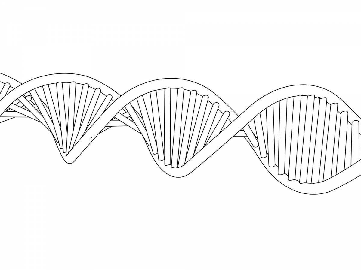 Fun dna coloring