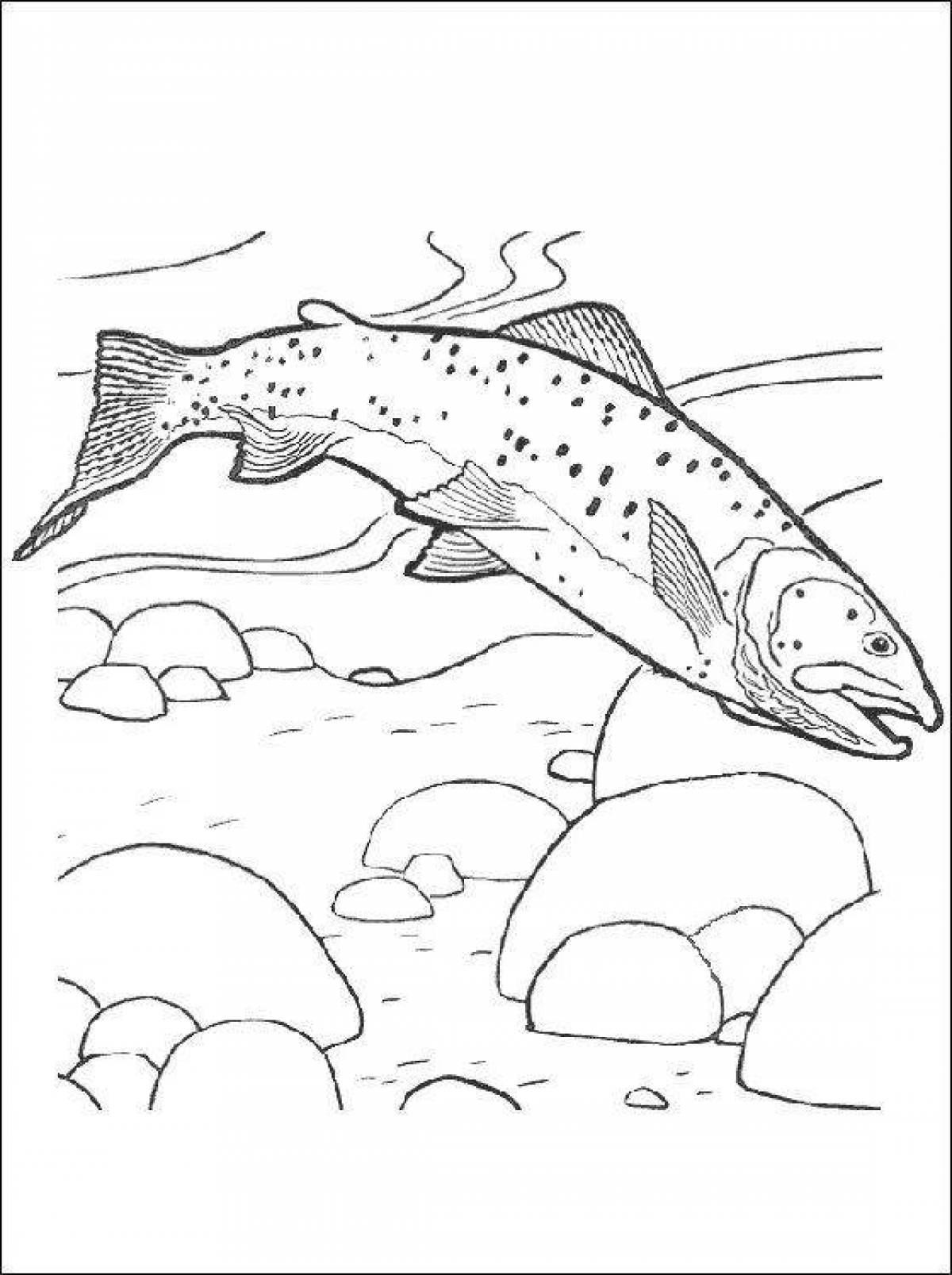 Shiny trout coloring page