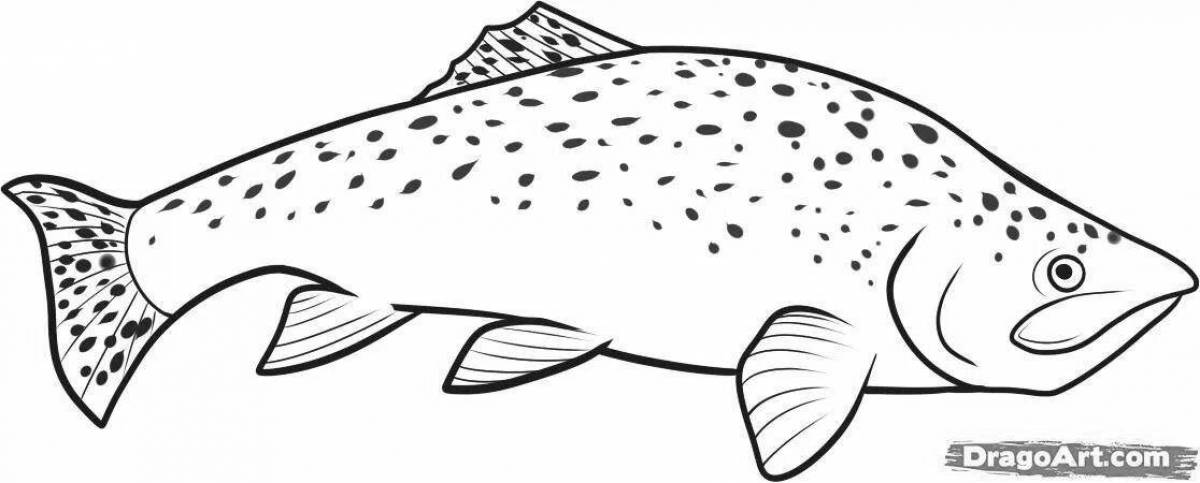 Glorious trout coloring page