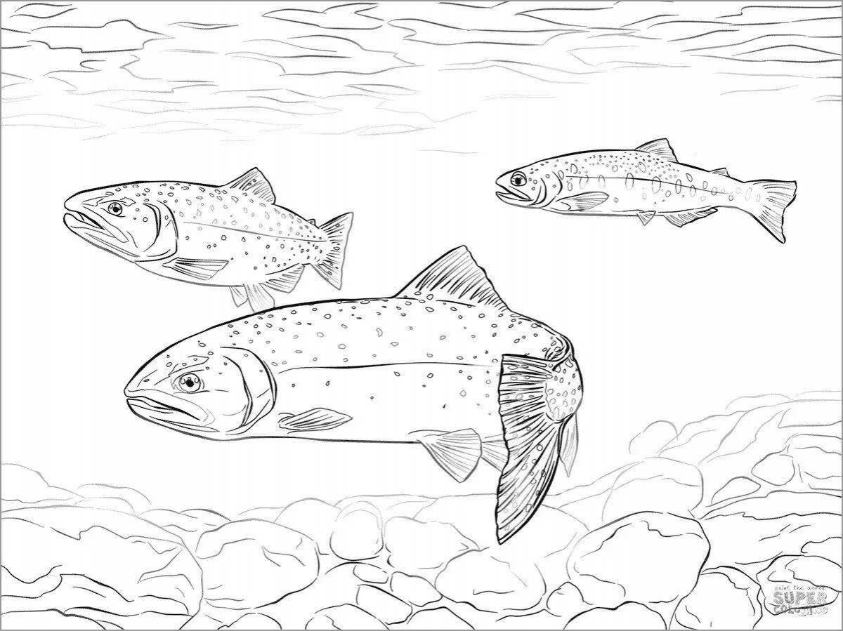 Awesome trout coloring page