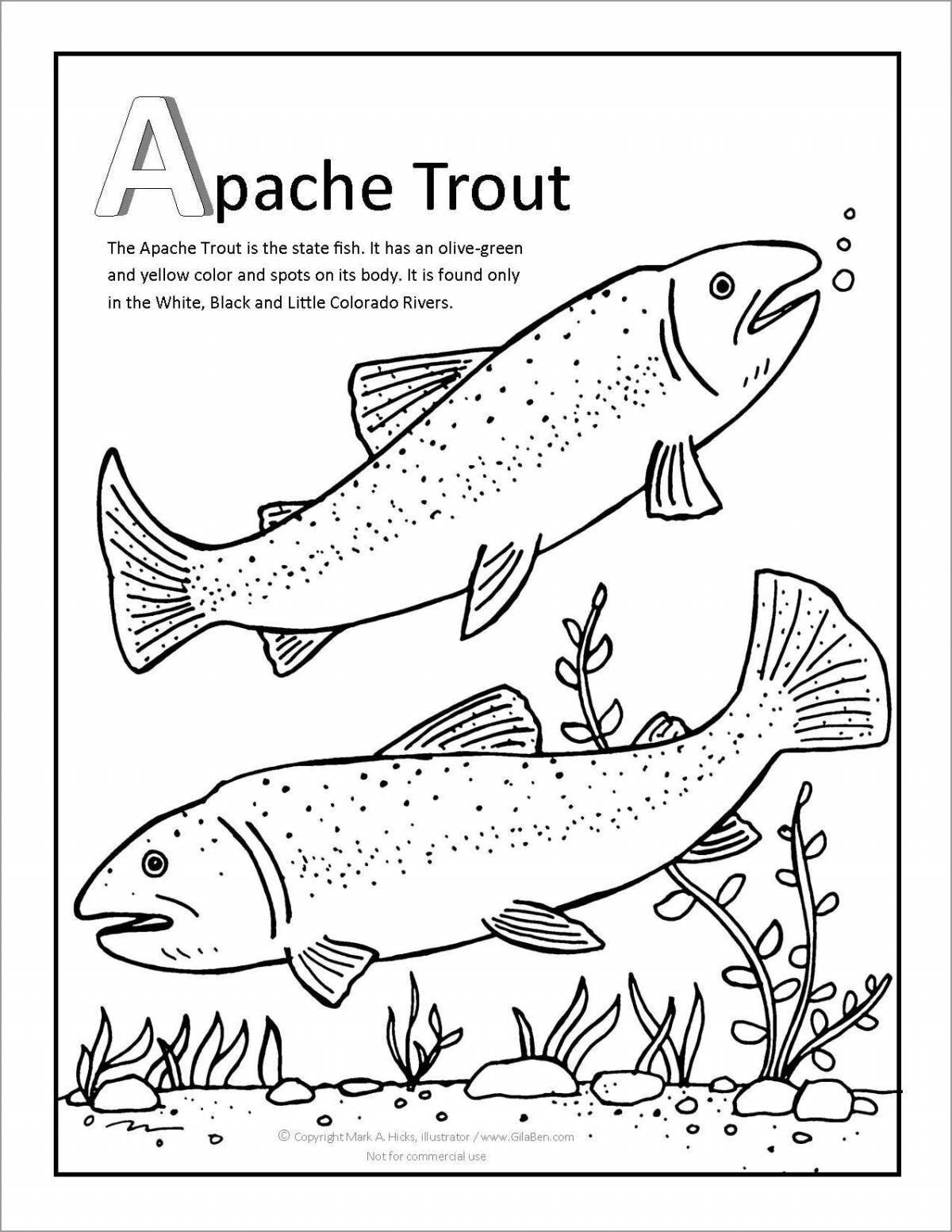 Coloring cute trout