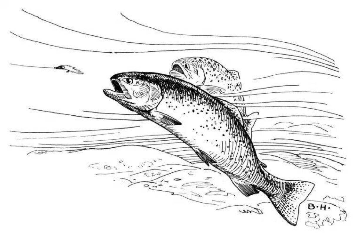 Charming trout coloring page