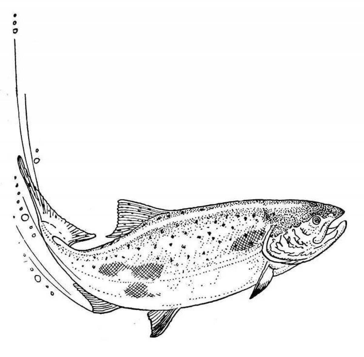 Coloring book happy trout