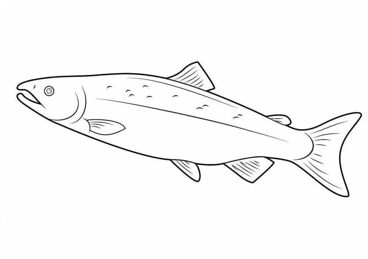 Colorful trout coloring page