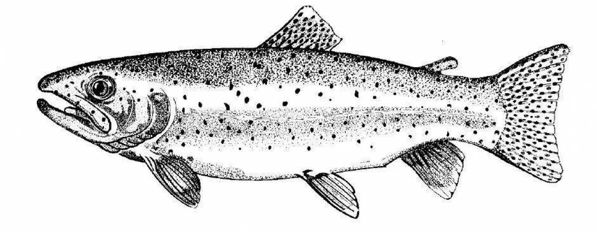 Animated trout coloring page