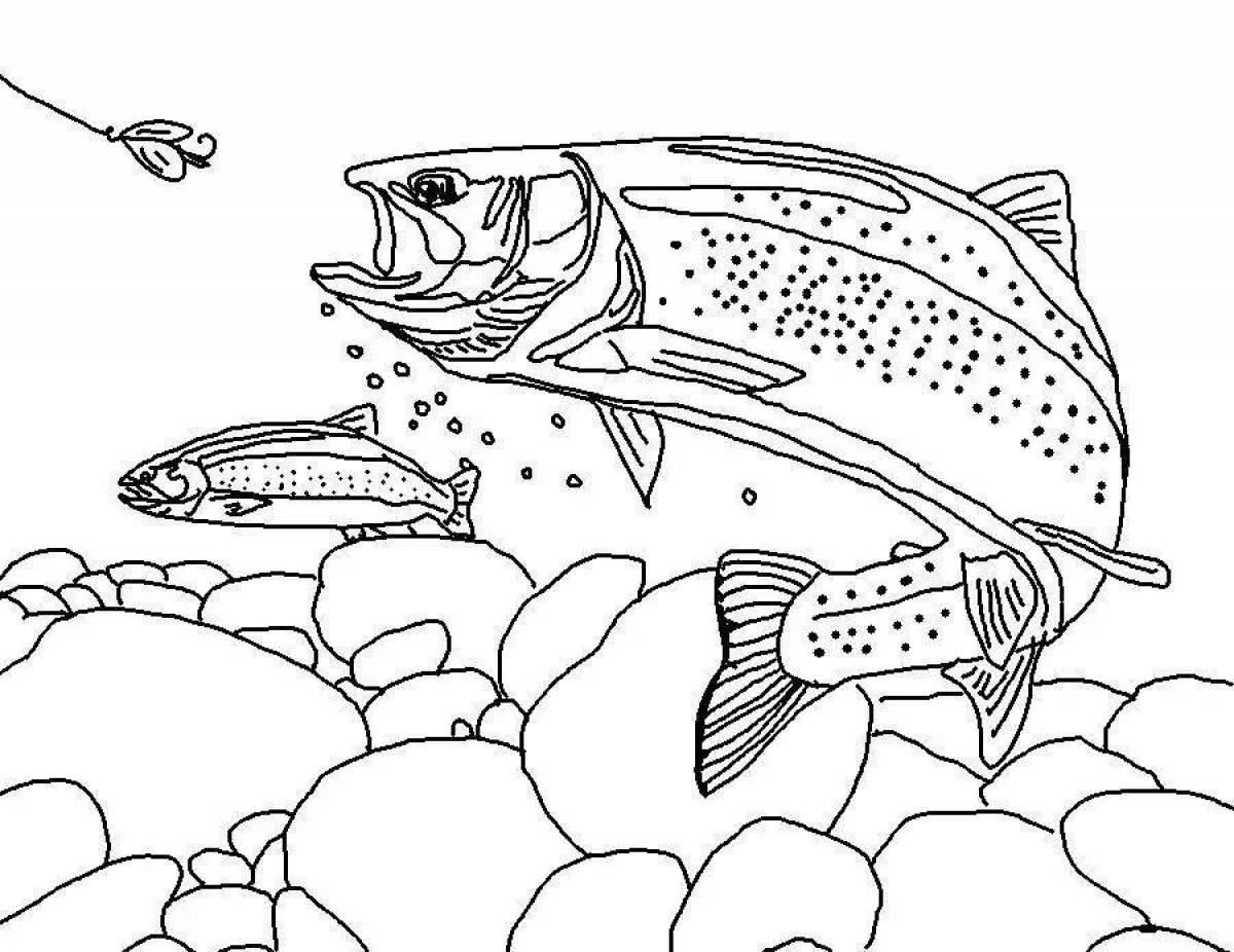 Rough trout coloring page