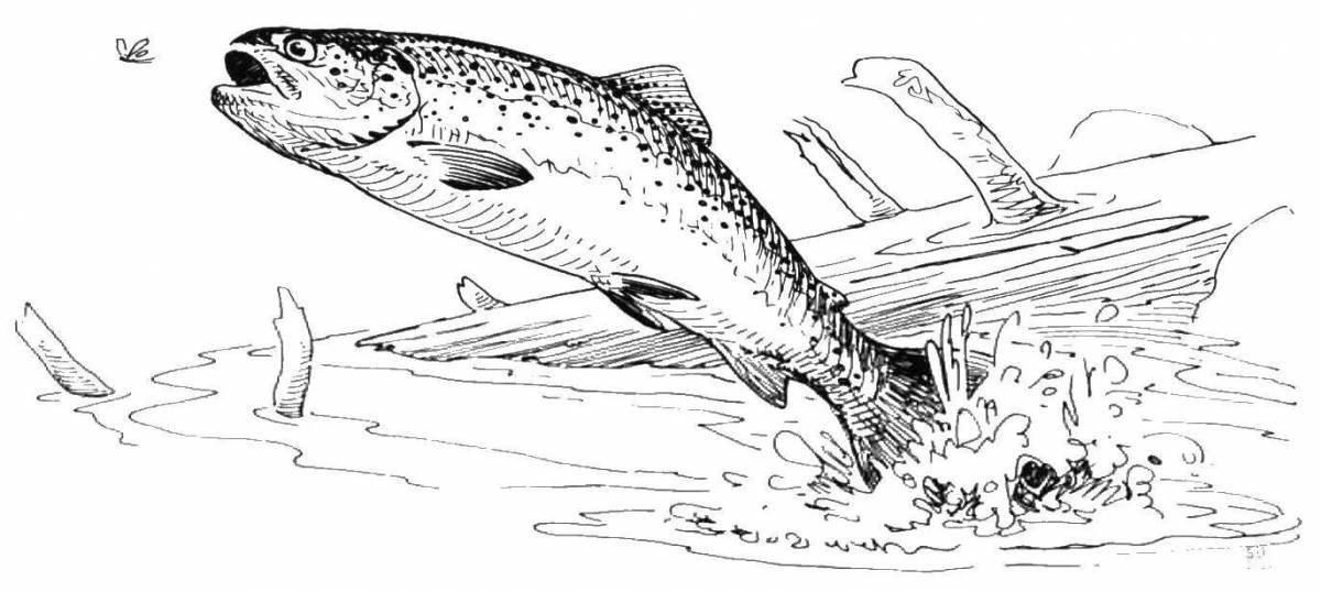 Coloring page beckoning trout