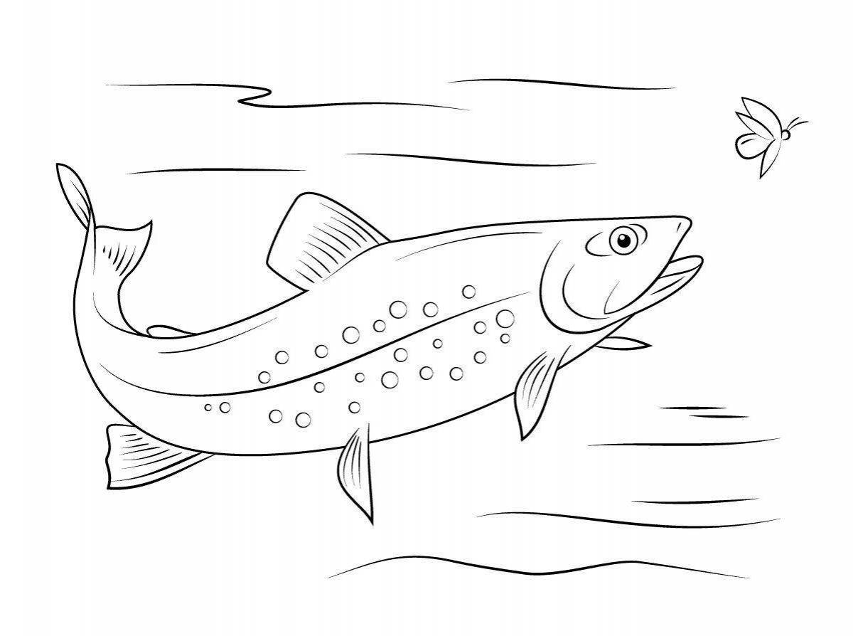Charming trout coloring book