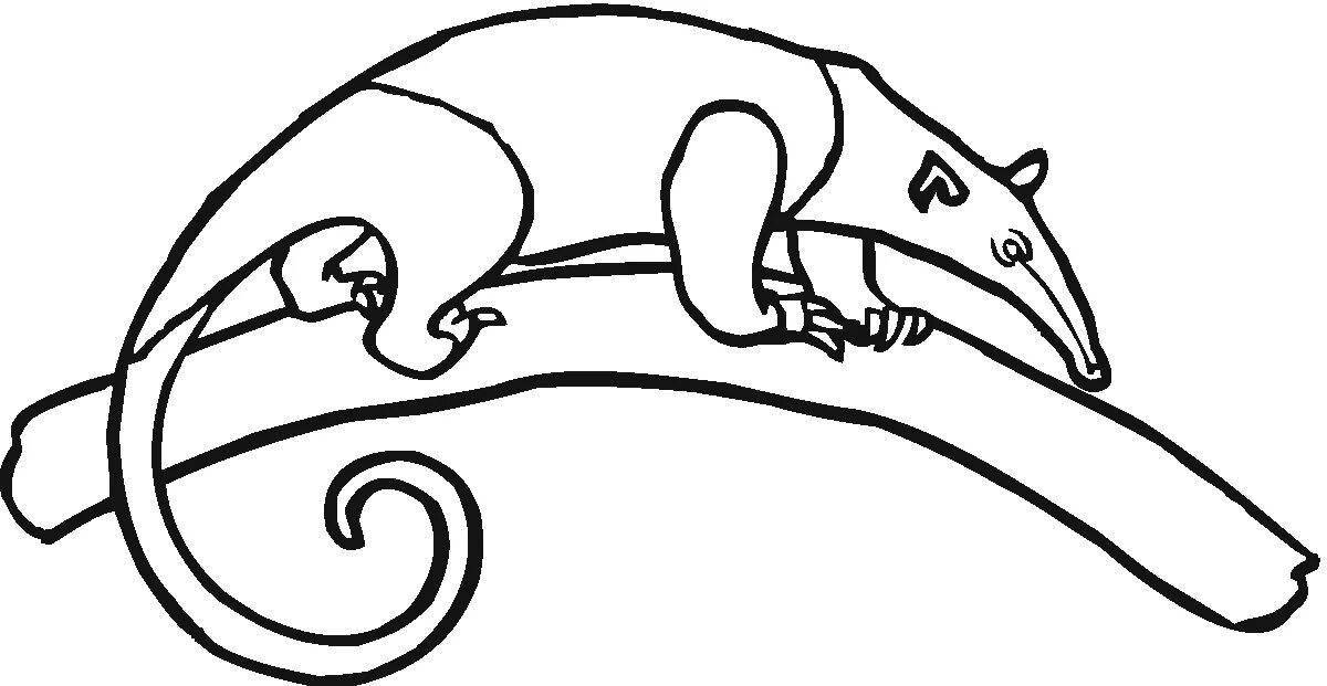 Coloring book bold anteater