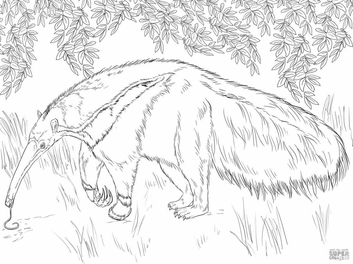 Coloring live anteater