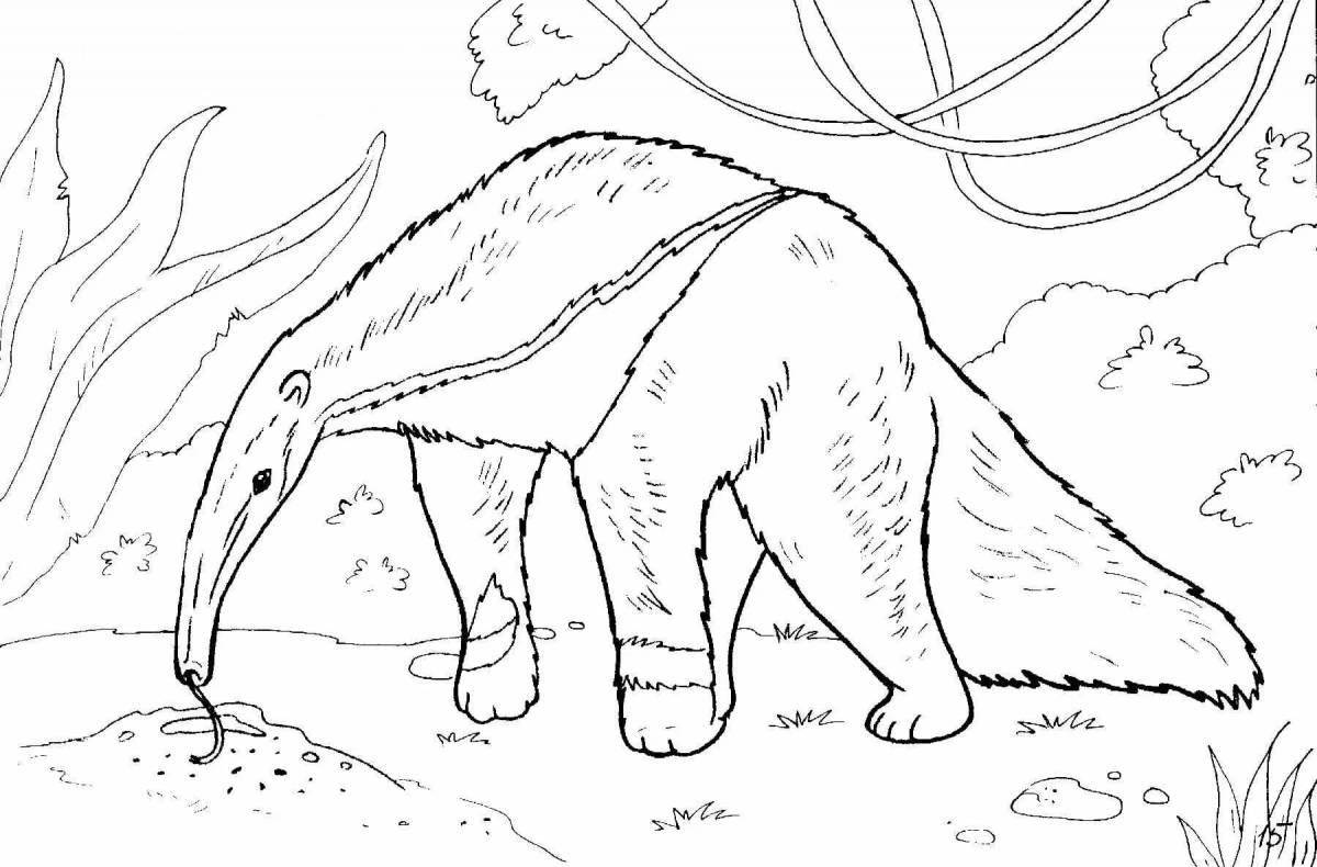 Coloring fairy anteater