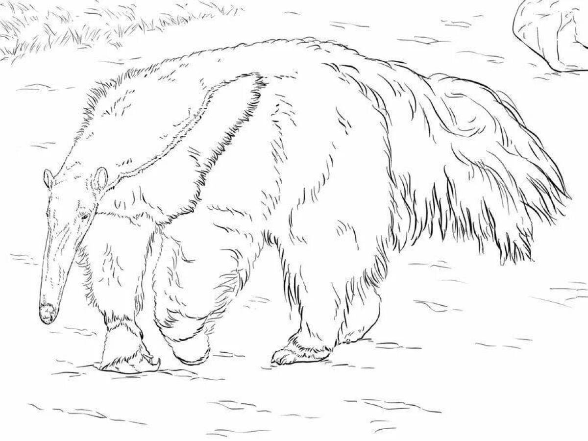 Amazing anteater coloring page