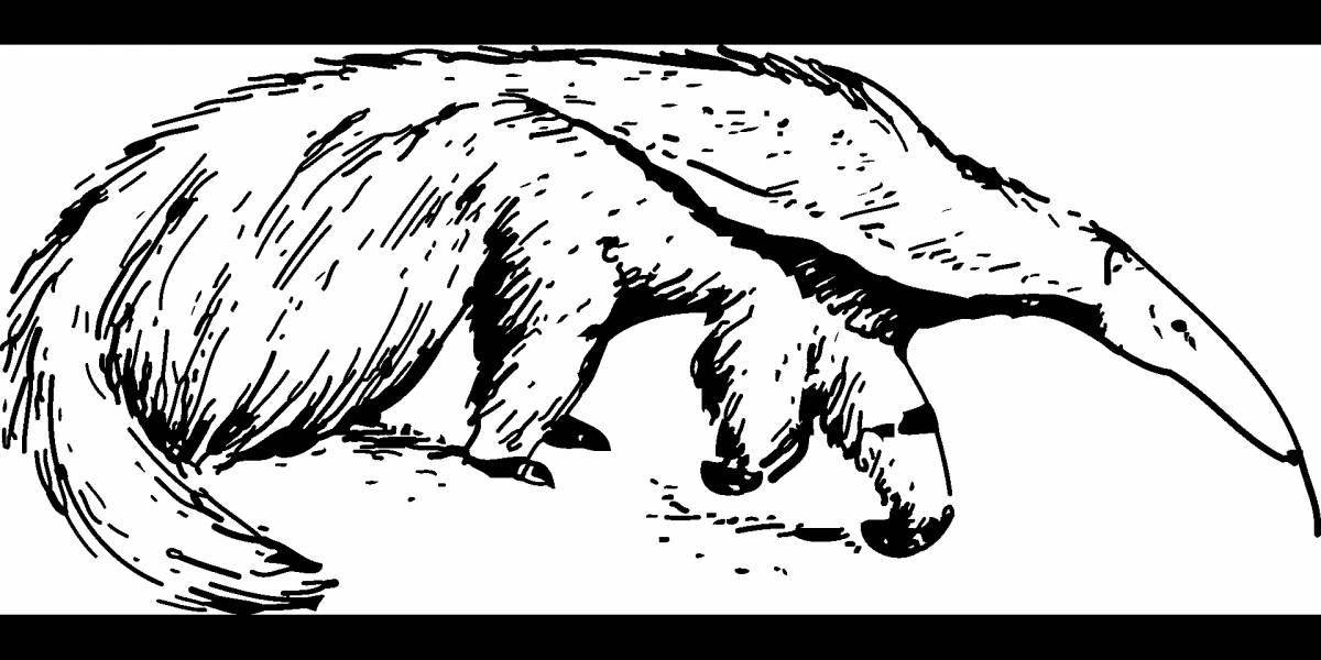 Adorable anteater coloring book